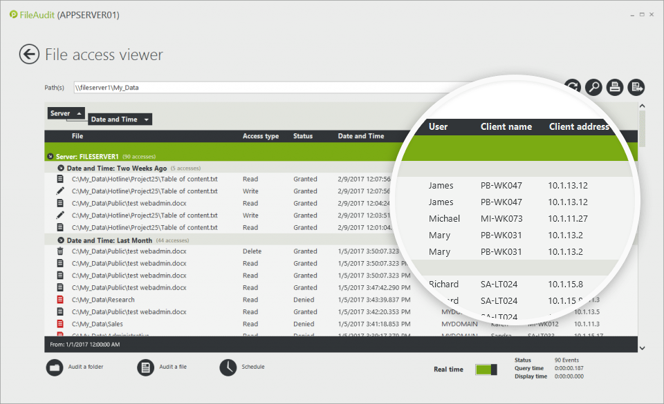 File access viewer FileAudit