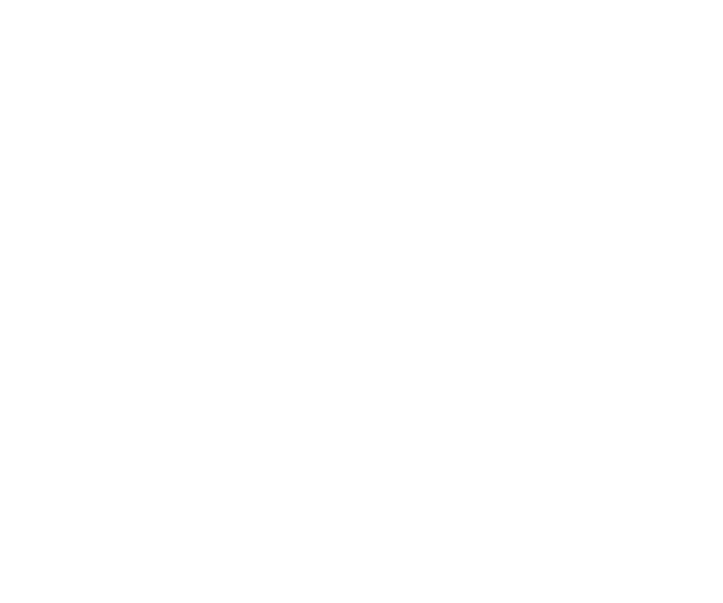 animation career review laurel 2026