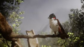 2022 Spring Best of Term - Adam Velazquez