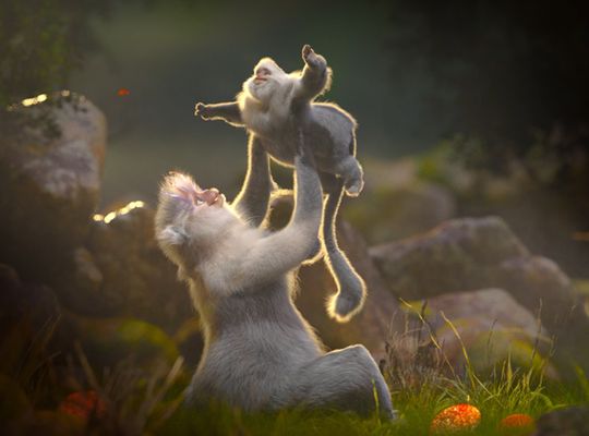 AlenaMealy_OriginalConcept_2023_00_TH