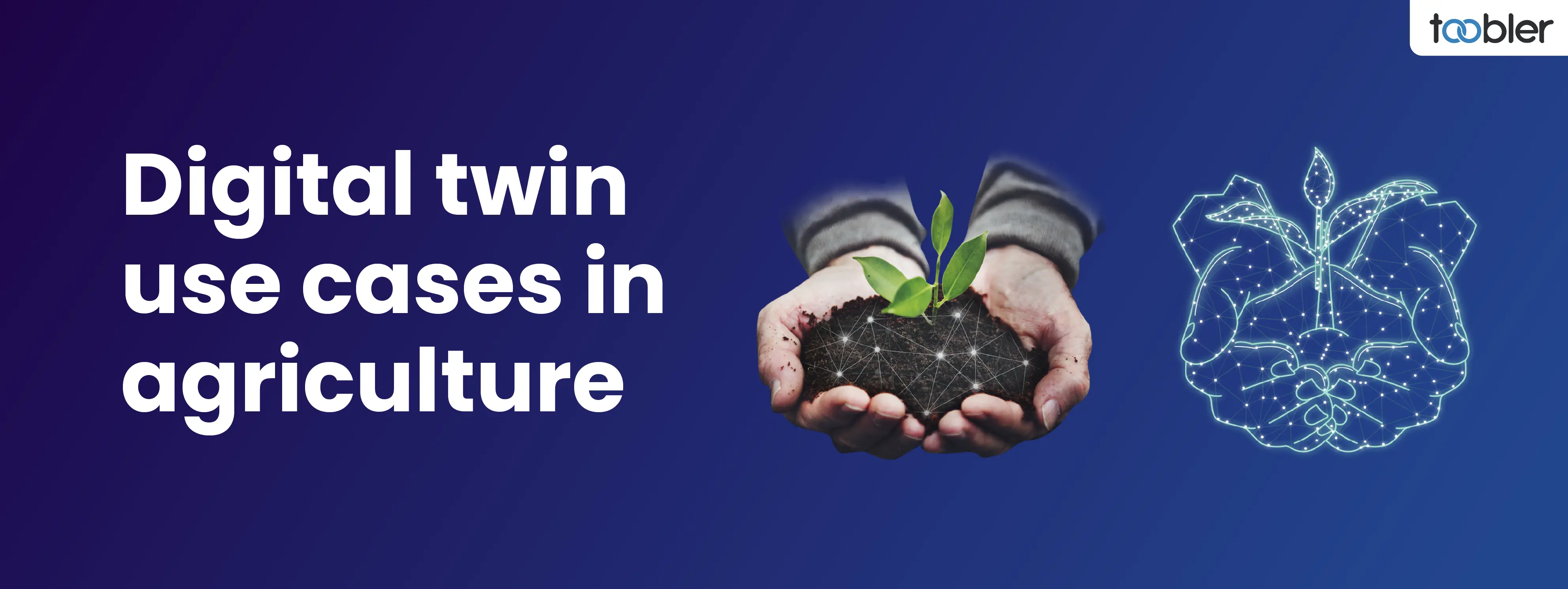 Use Cases of Digital Twin in Agriculture