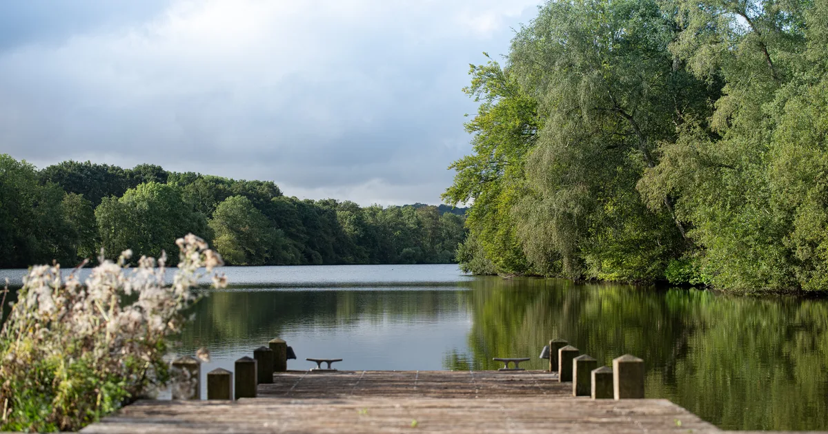 The definitive guide to Hampshire's historic estates and country houses