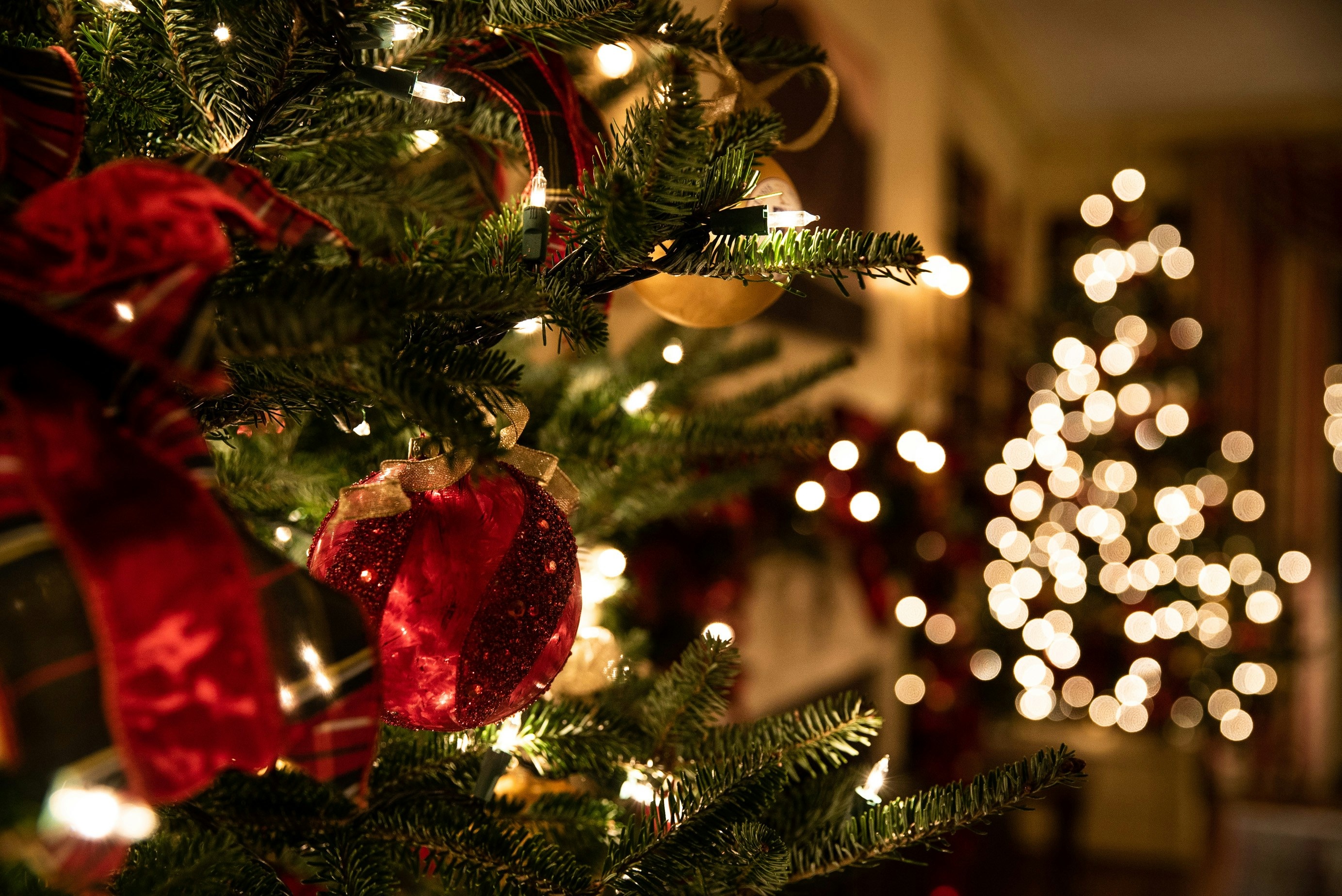Unique local party ideas for Christmas in Hampshire