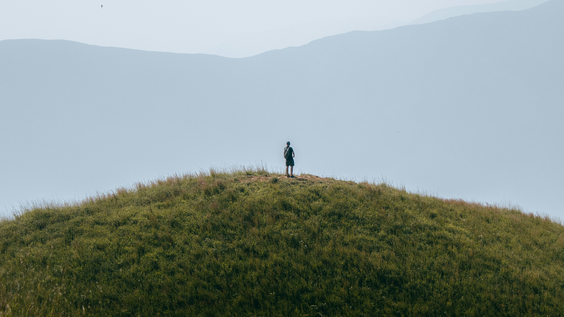 Il mercato in sintesi: Ci si sente soli al vertice