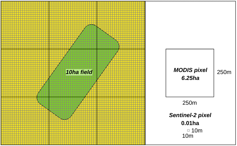 Sketch of a 10ha field overlaid with pixel sizes of MODIS and Sentinel-2