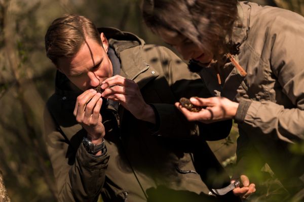 Wald Cuisine
