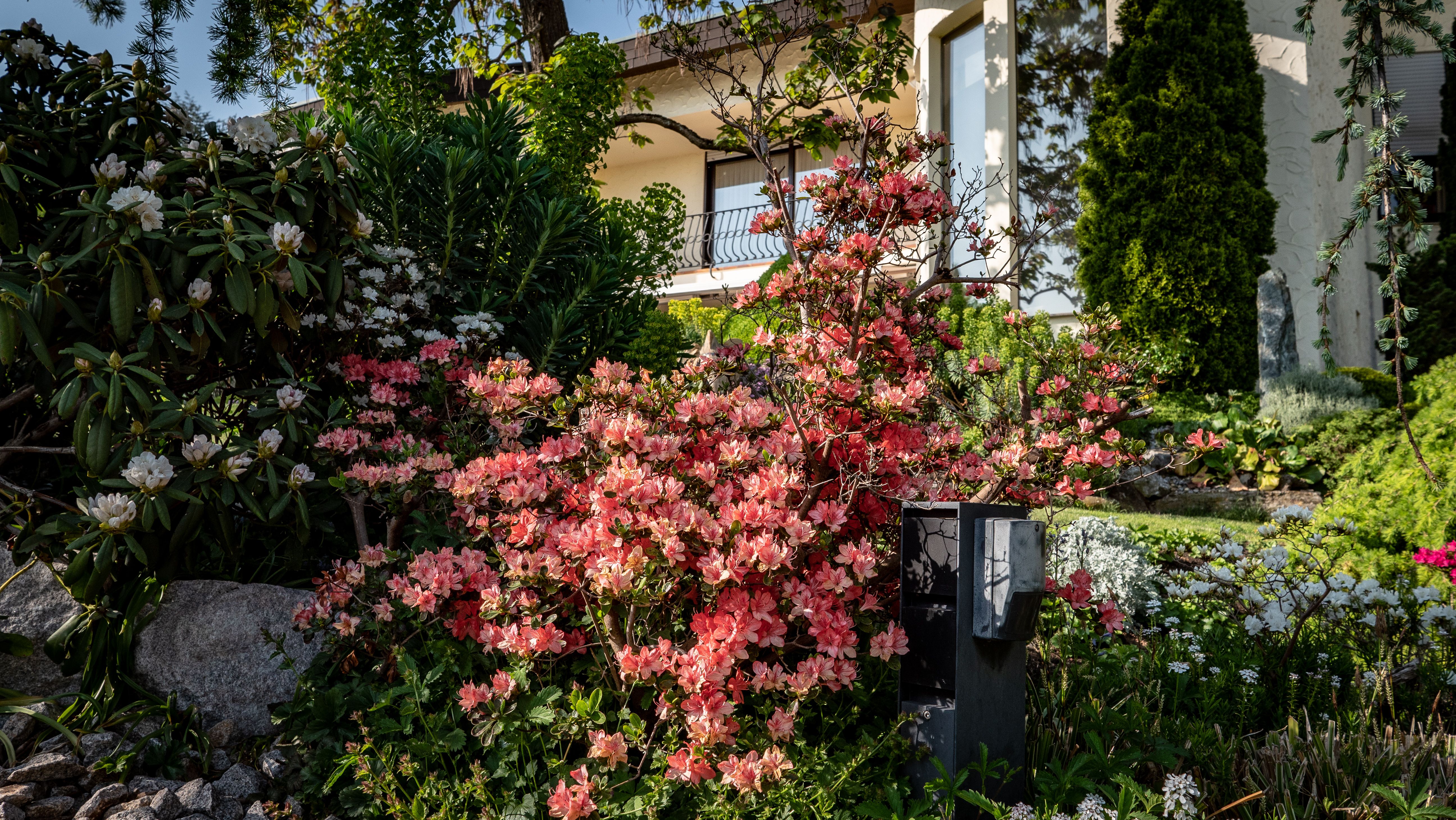 Gartenbepflanzung