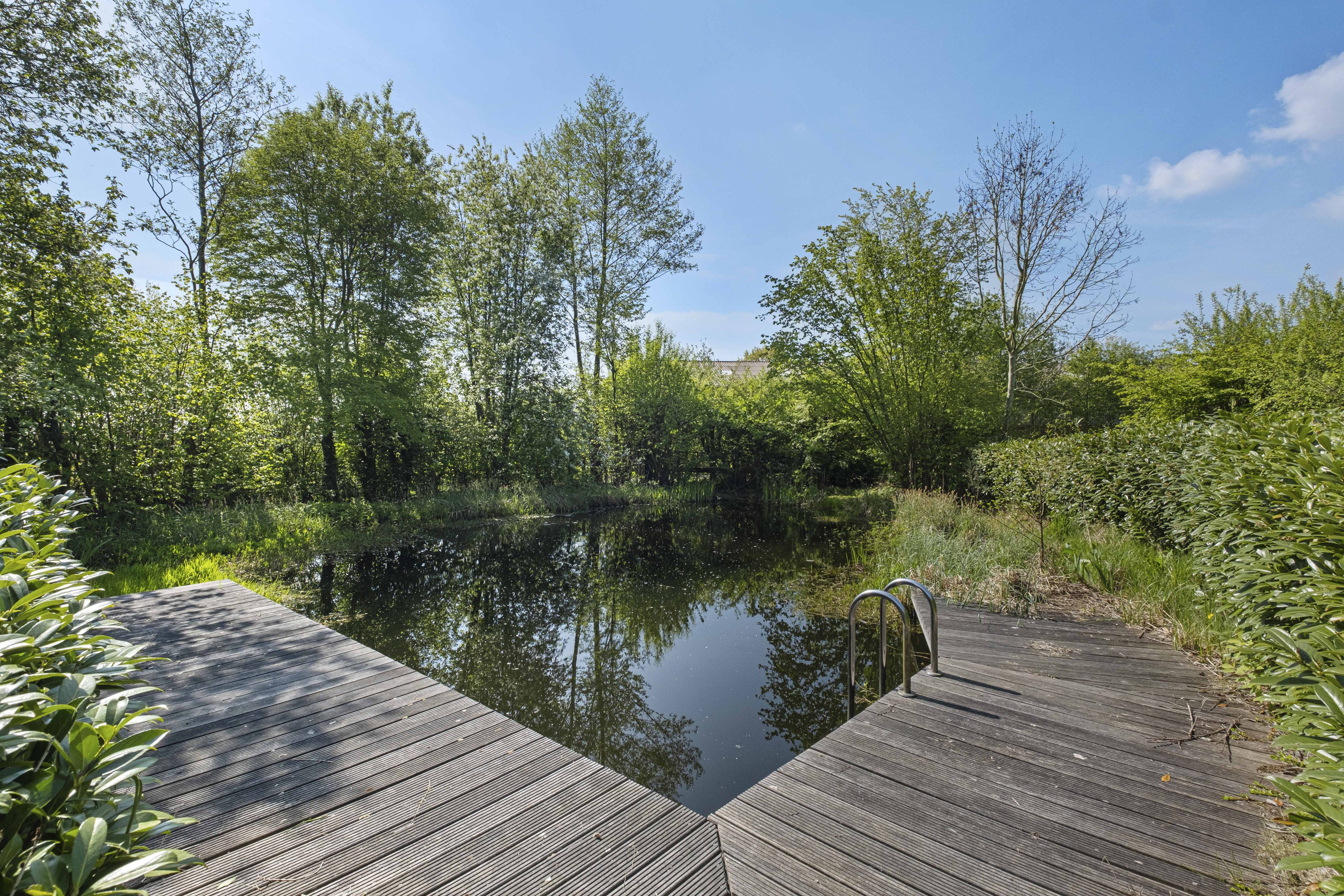 Naturbelassener Schwimmteich