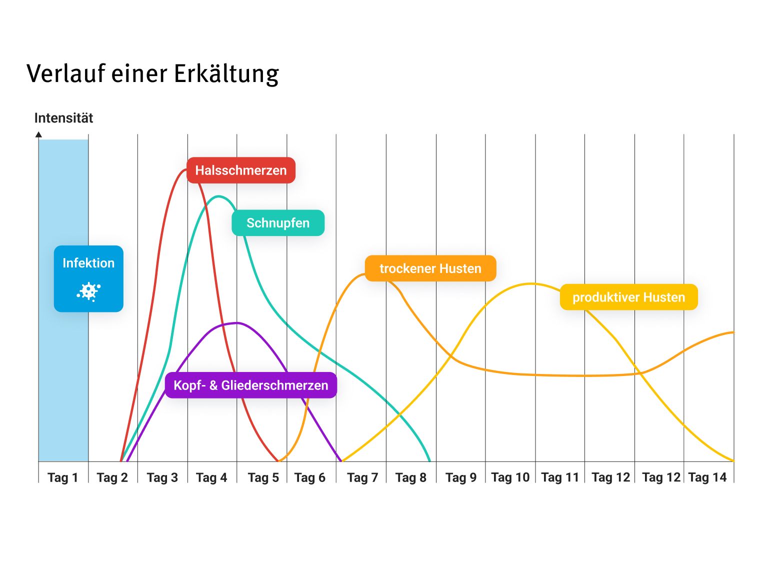 Tabelle die den Verlauf einer Erkältung darstellt