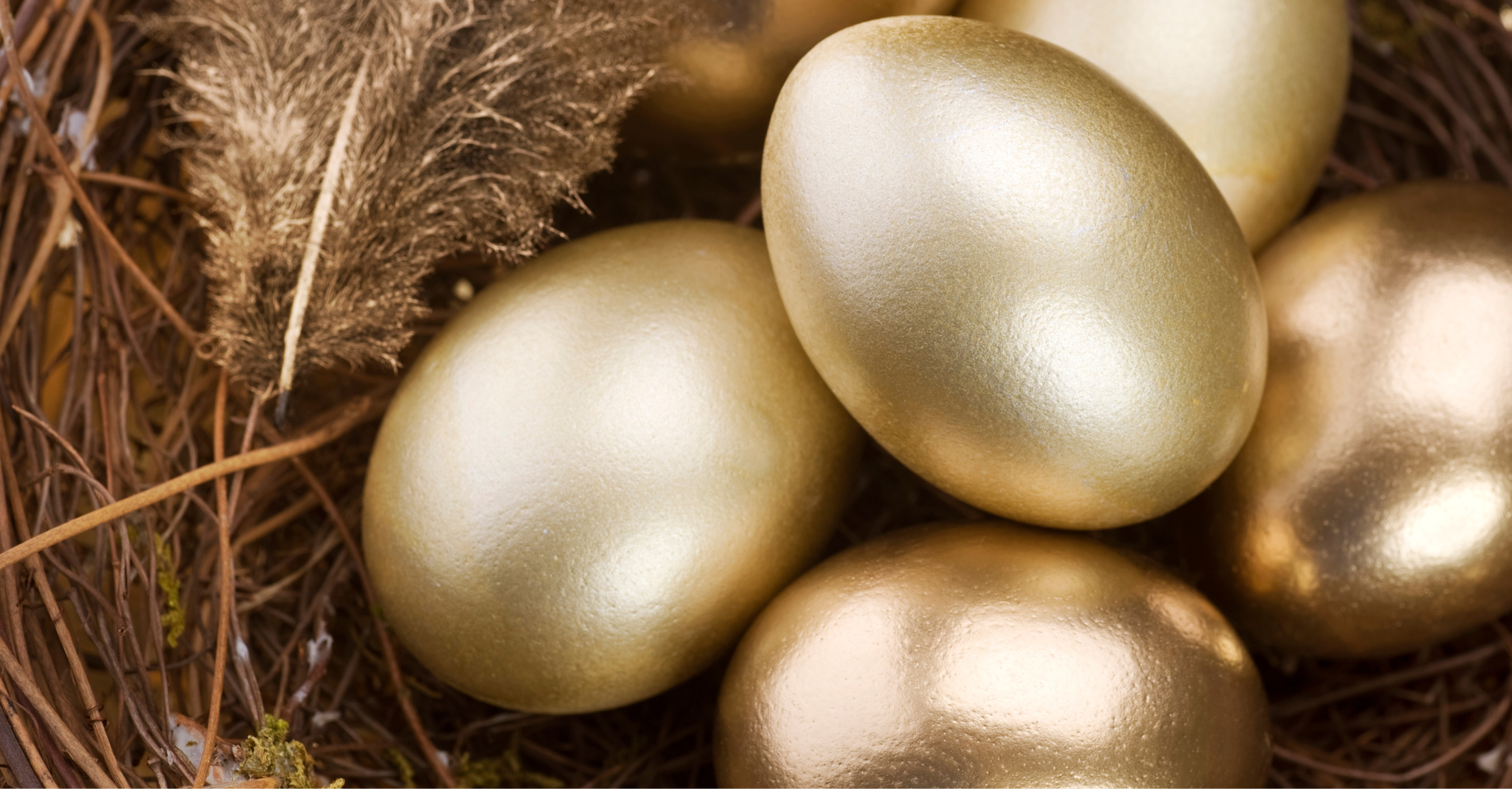 Golden eggs in a nest, to indicate "nest egg" / retirement planning