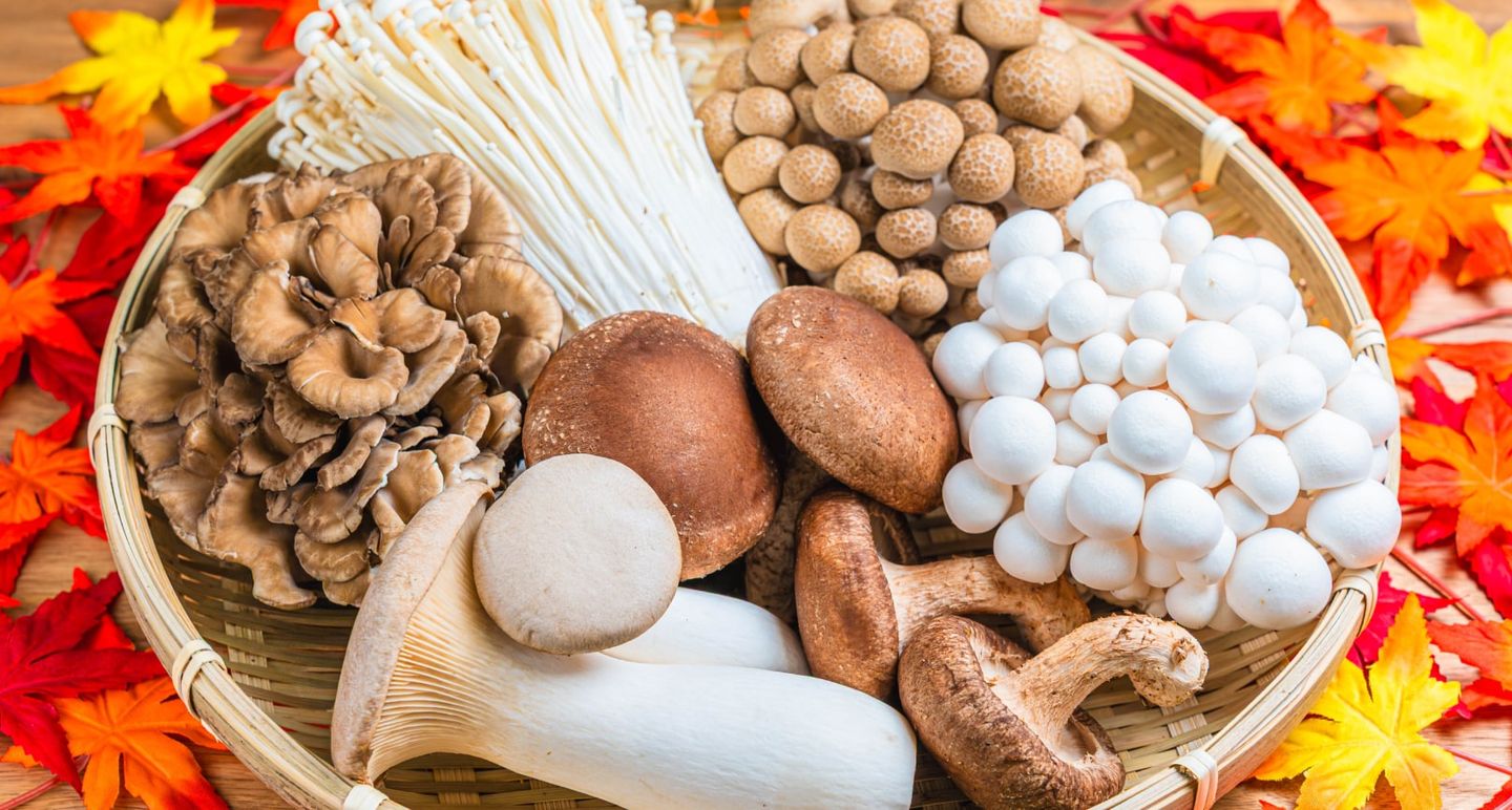 Autumn’s bounties from the sea and mountains