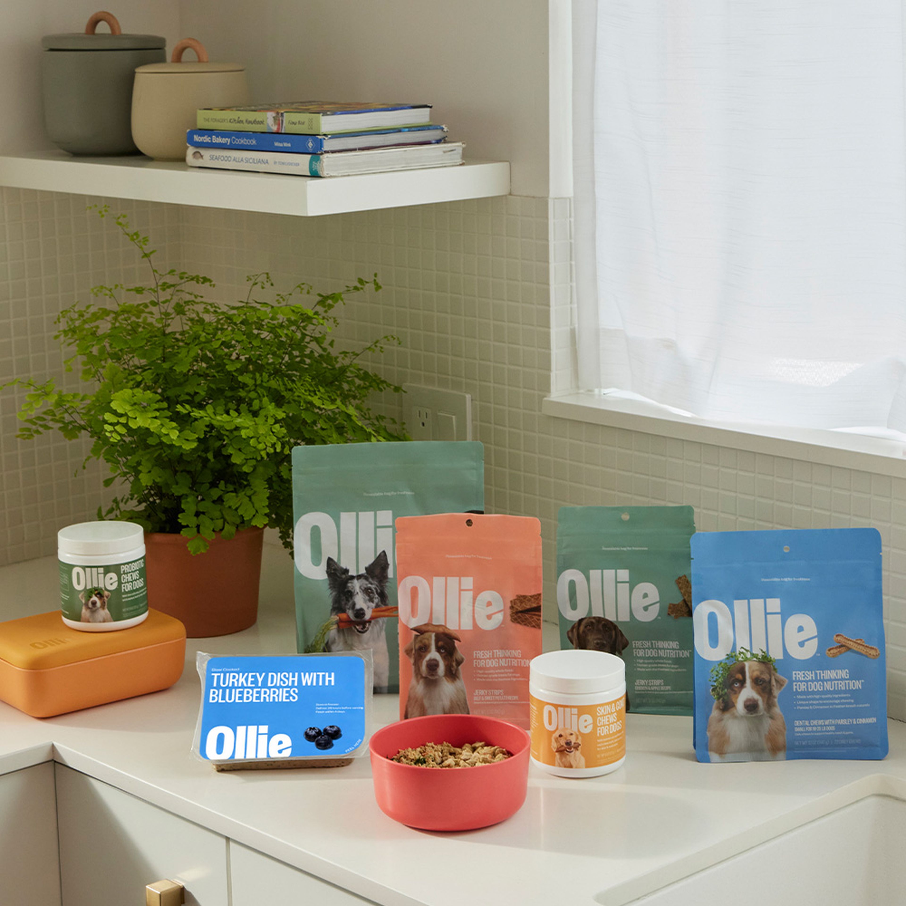 A kitchen counter with a vast array of Ollie products.