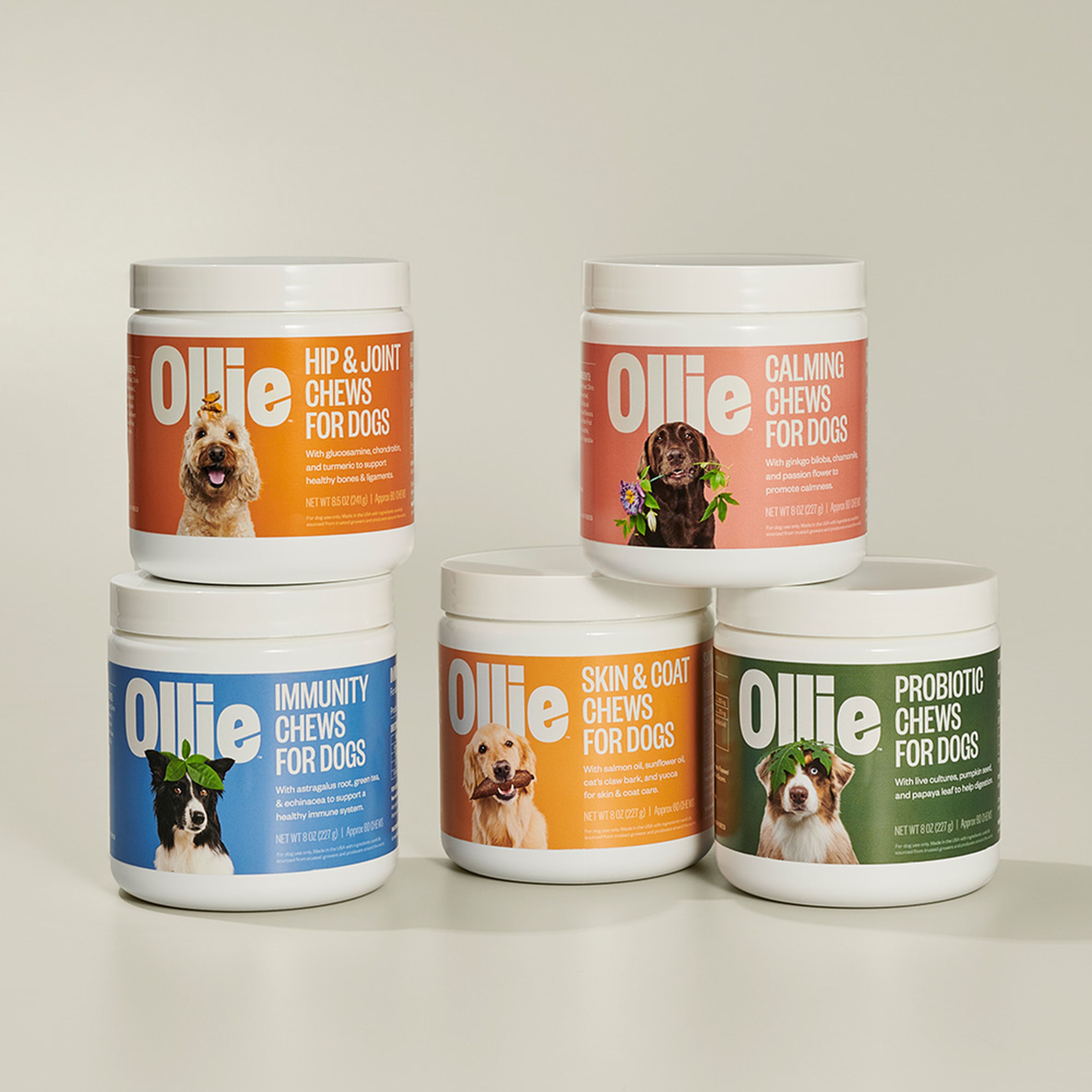 All of Ollie's five supplements in their tub packaging.