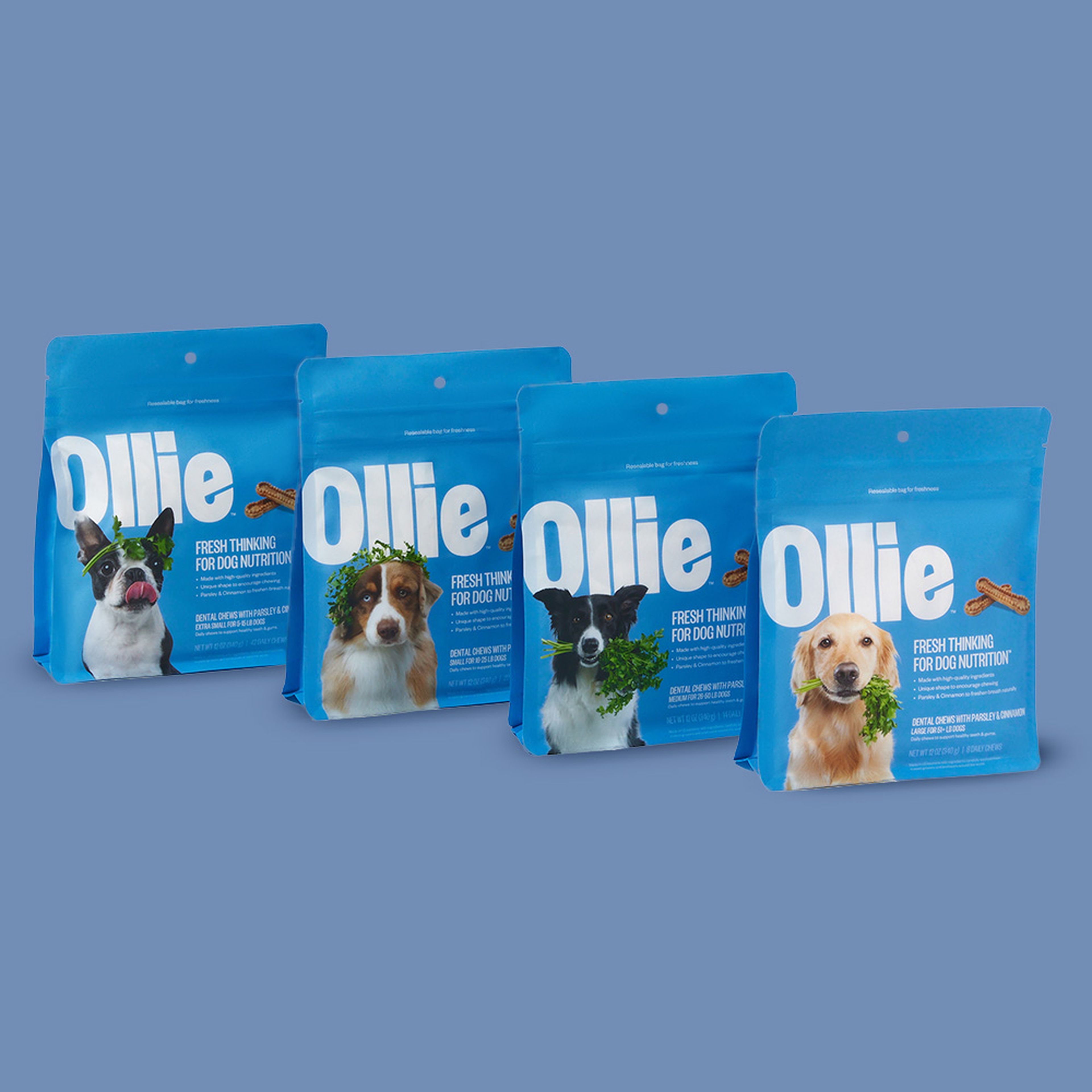 All four of Ollie's Dental Chews bags in the available sizes - extra small, small, medium, and large