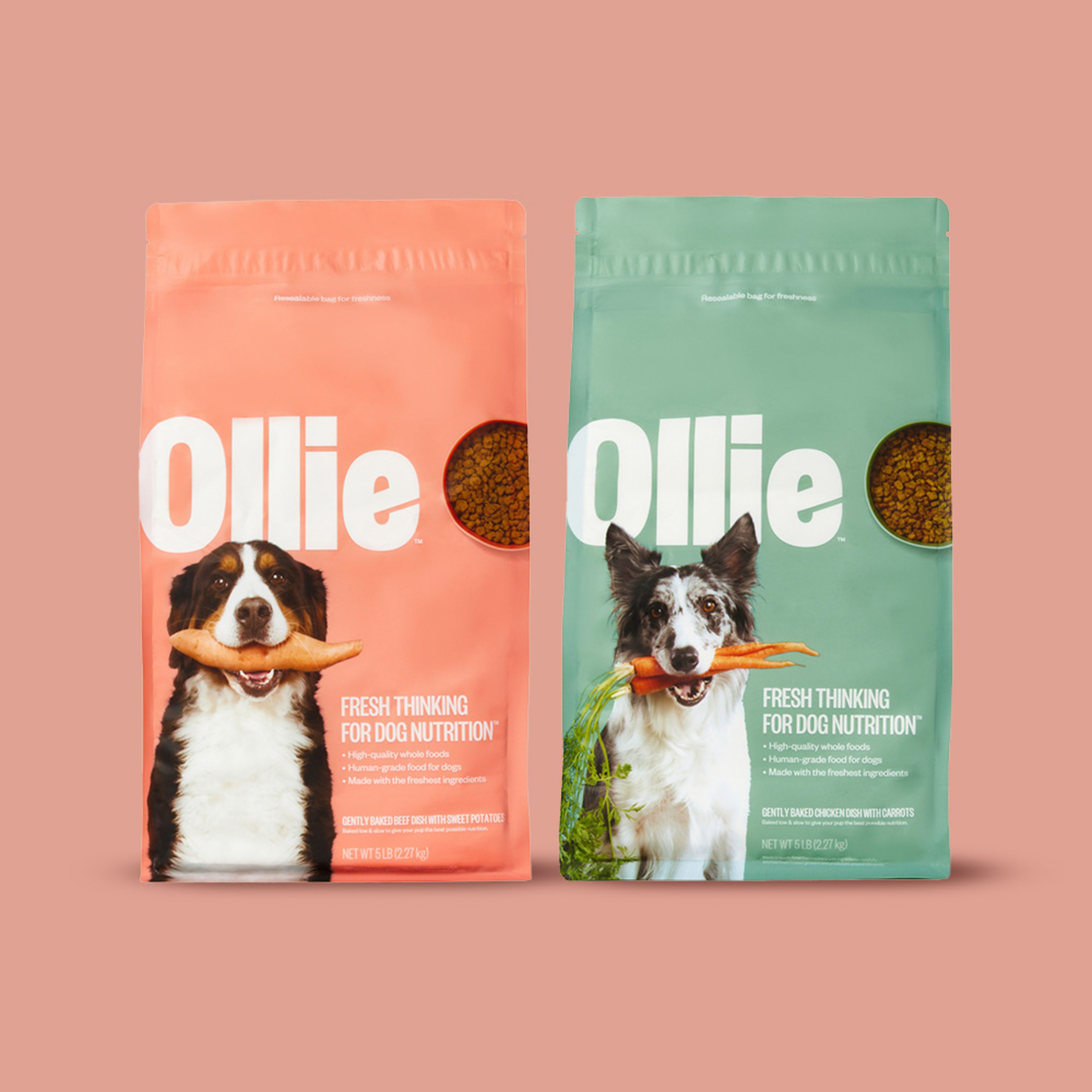 Ollie human grade dog food hotsell