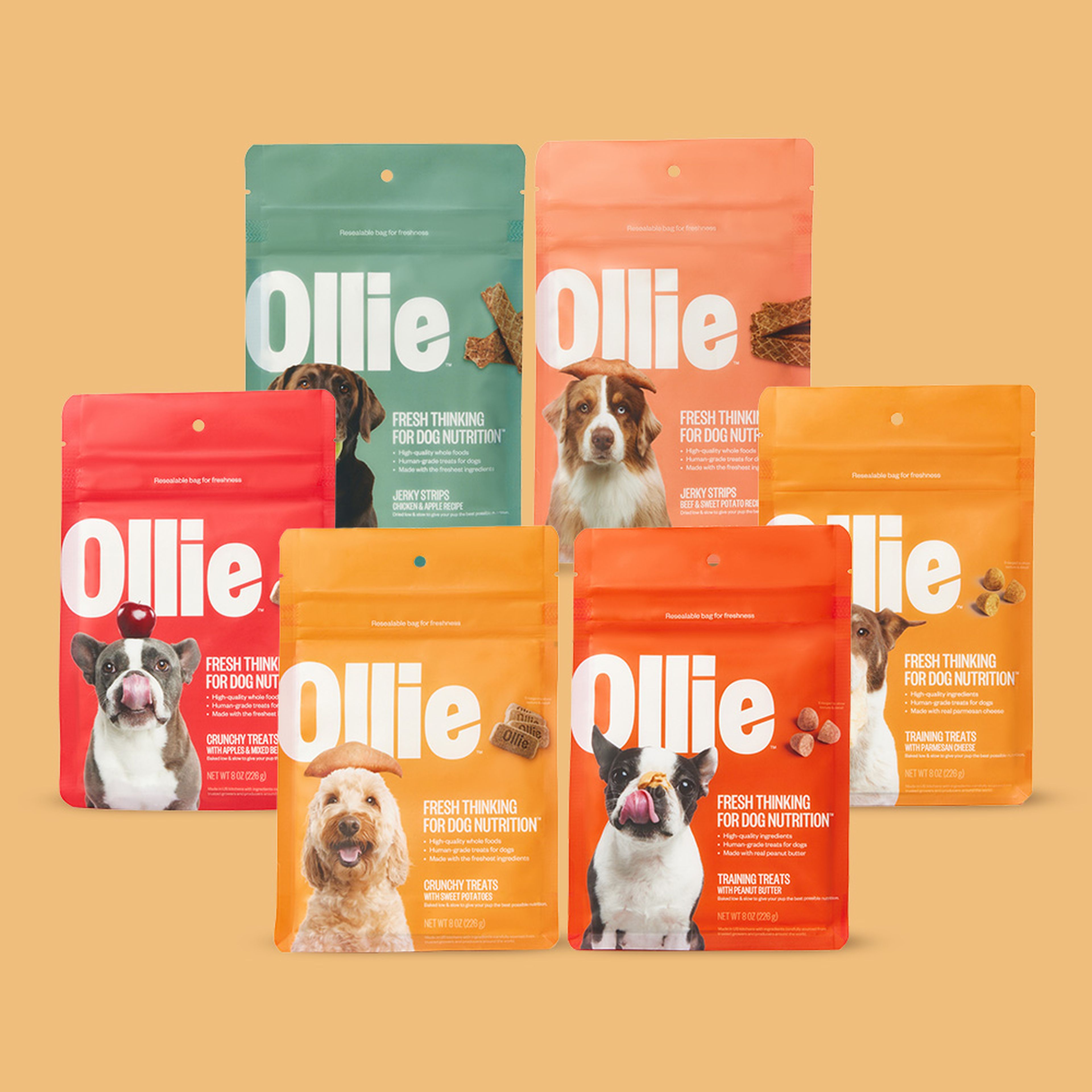 All of Ollie's six treats in their bag packaging.