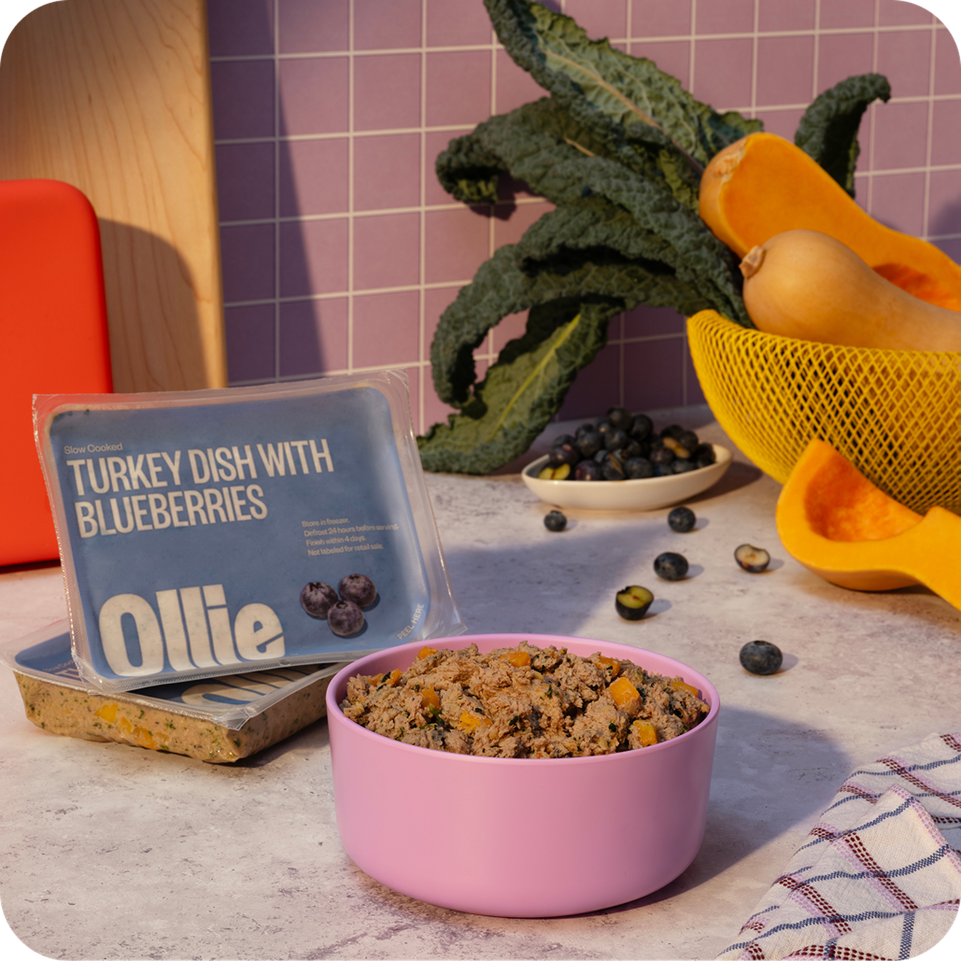 A bowl of Ollie fresh turkey and blueberry dog food sits on a countertop with leafy greens, squash, and a packet labeled "Turkey Dish with Blueberries."