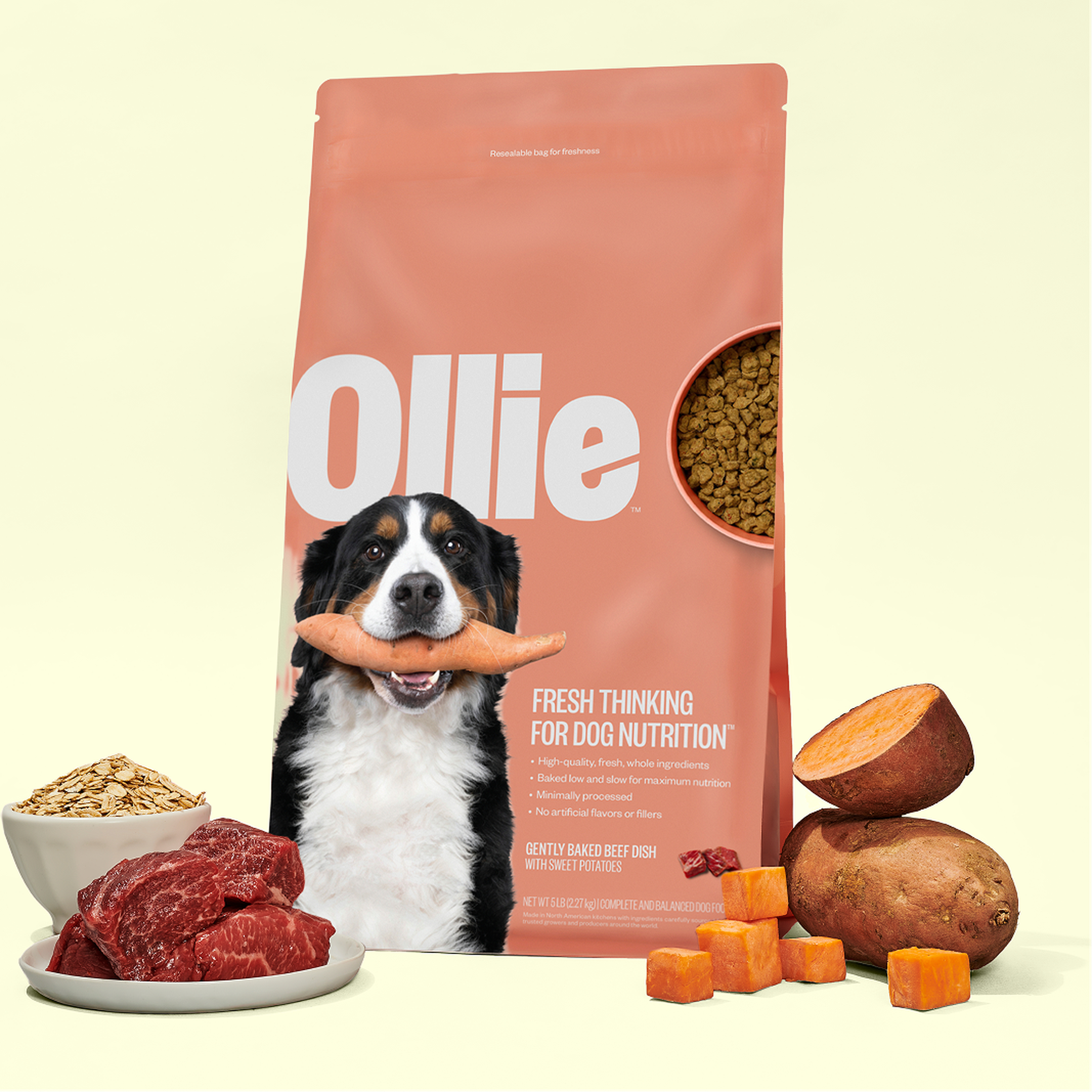 Baked dog food package labeled "Ollie" with a dog holding a carrot, surrounded by raw beef, oats, and sweet potatoes.