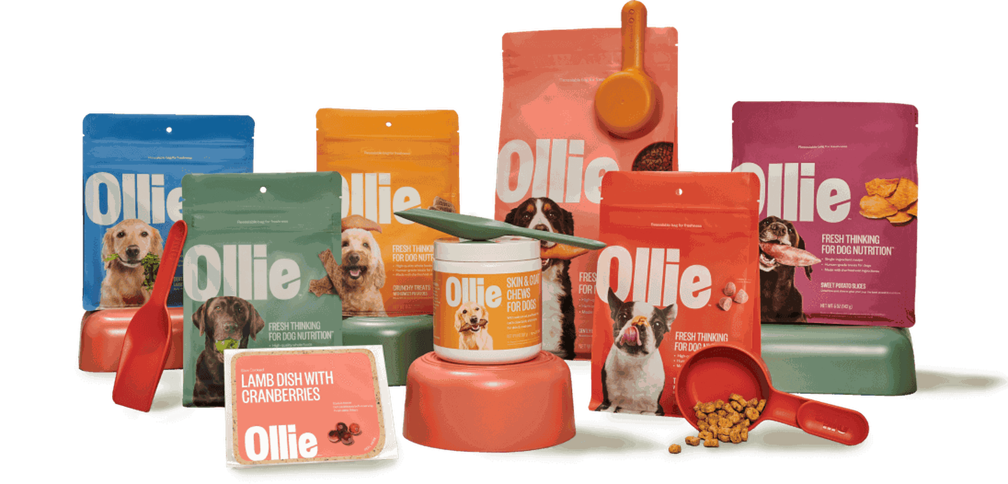 A product shot of Ollie food treats and supplements