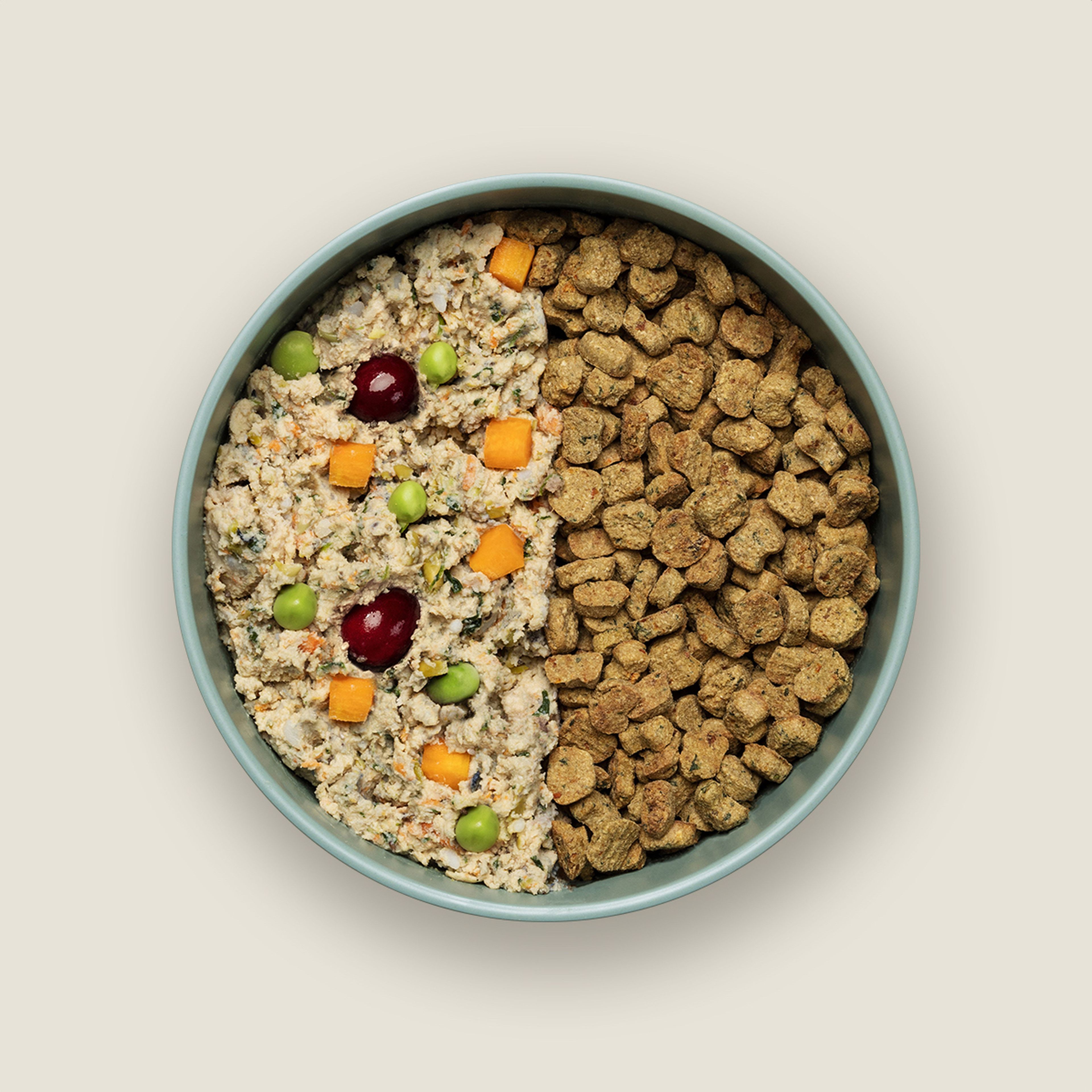 Meal Plan Options for Your Dog s Food