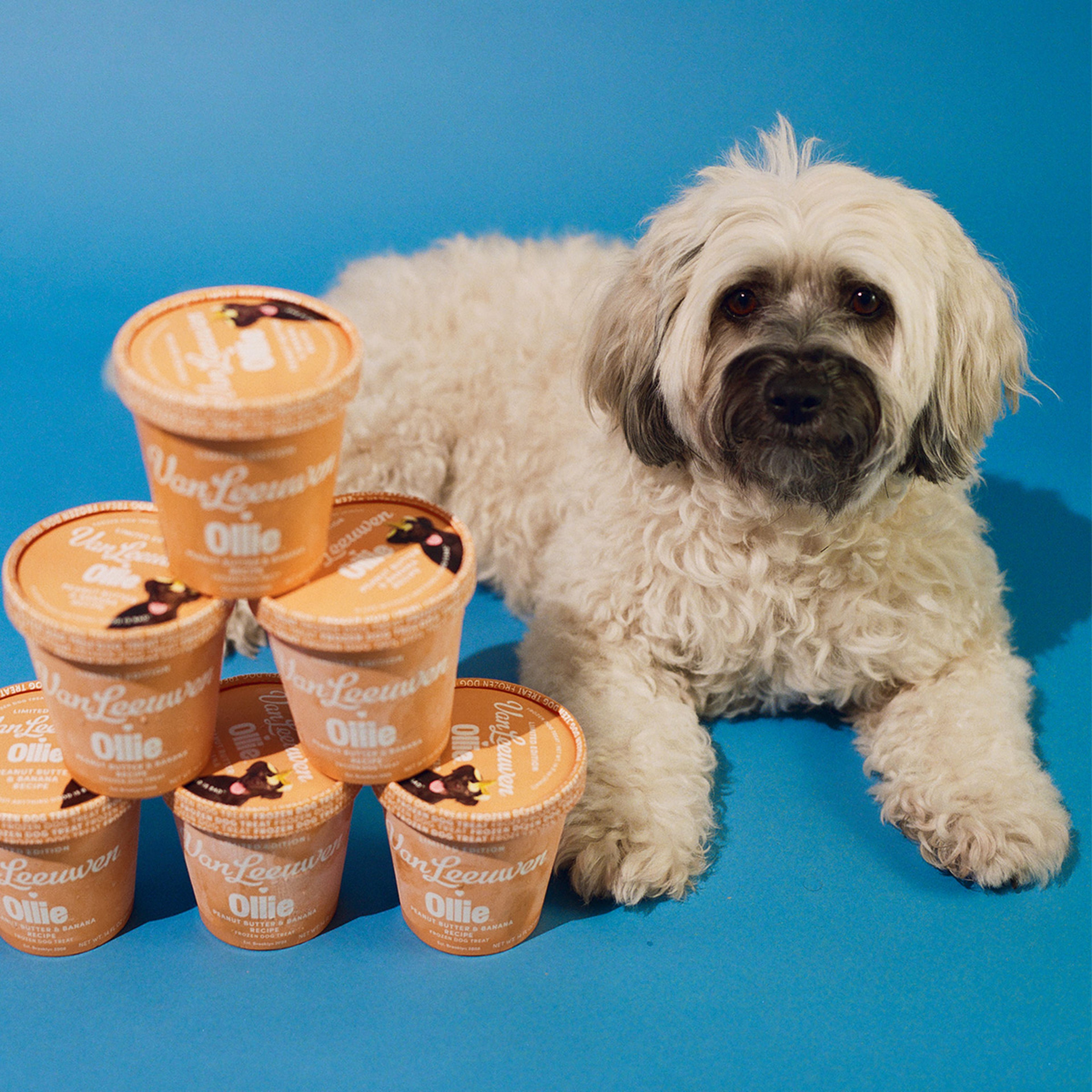 Pyramid stack of the Peanut Butter and Banana ice cream pints with a dog laying next to it.