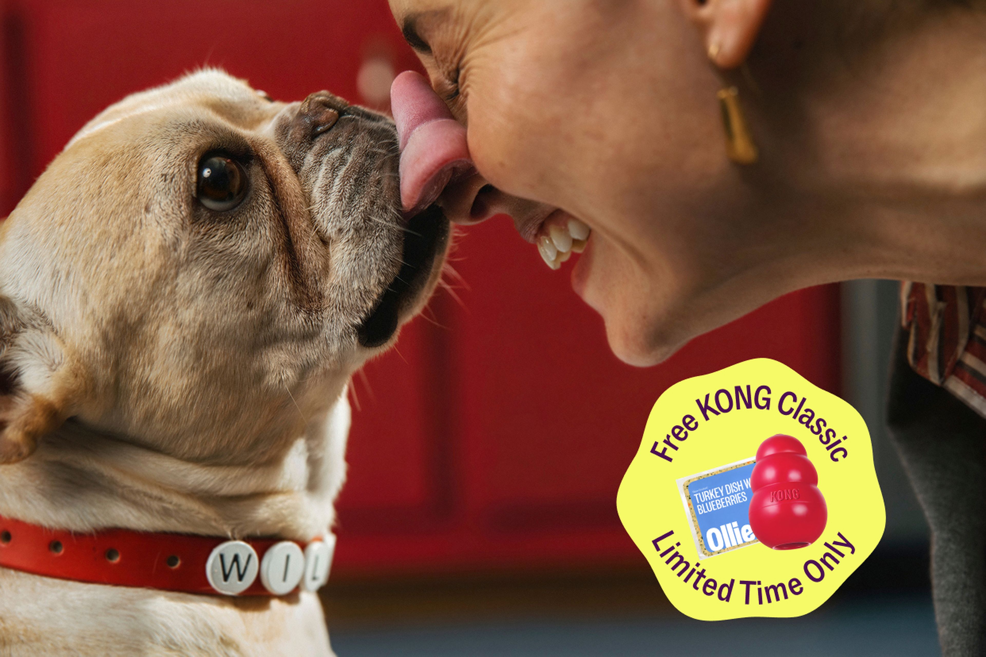 A dog with a red collar licks a smiling person's nose. A yellow sticker advertises a limited-time offer for a free KONG Classic toy.