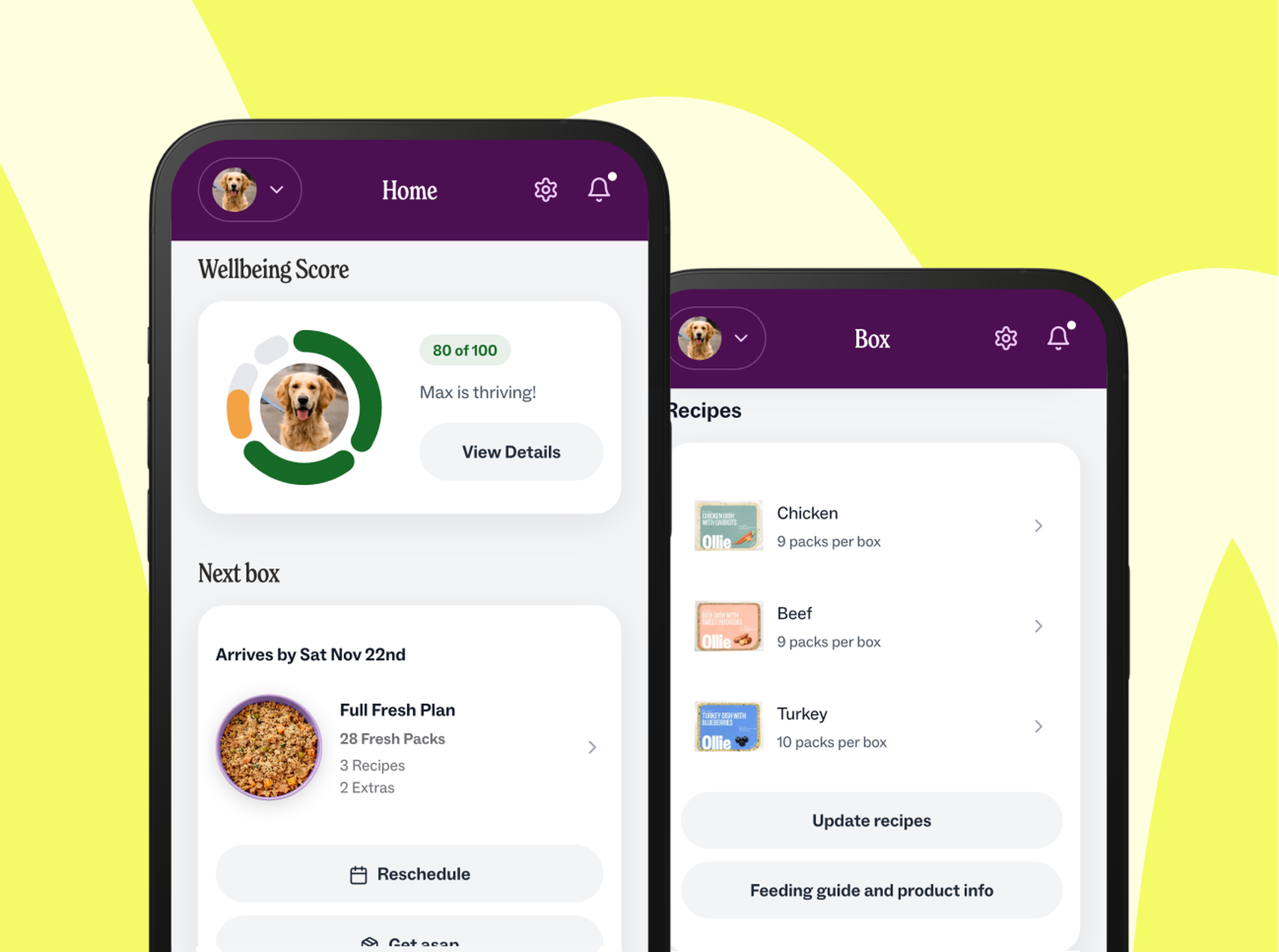 Ollie mobile app interface showing a pet's wellbeing score, menu options, and meal plan details for chicken, beef, and turkey recipes.