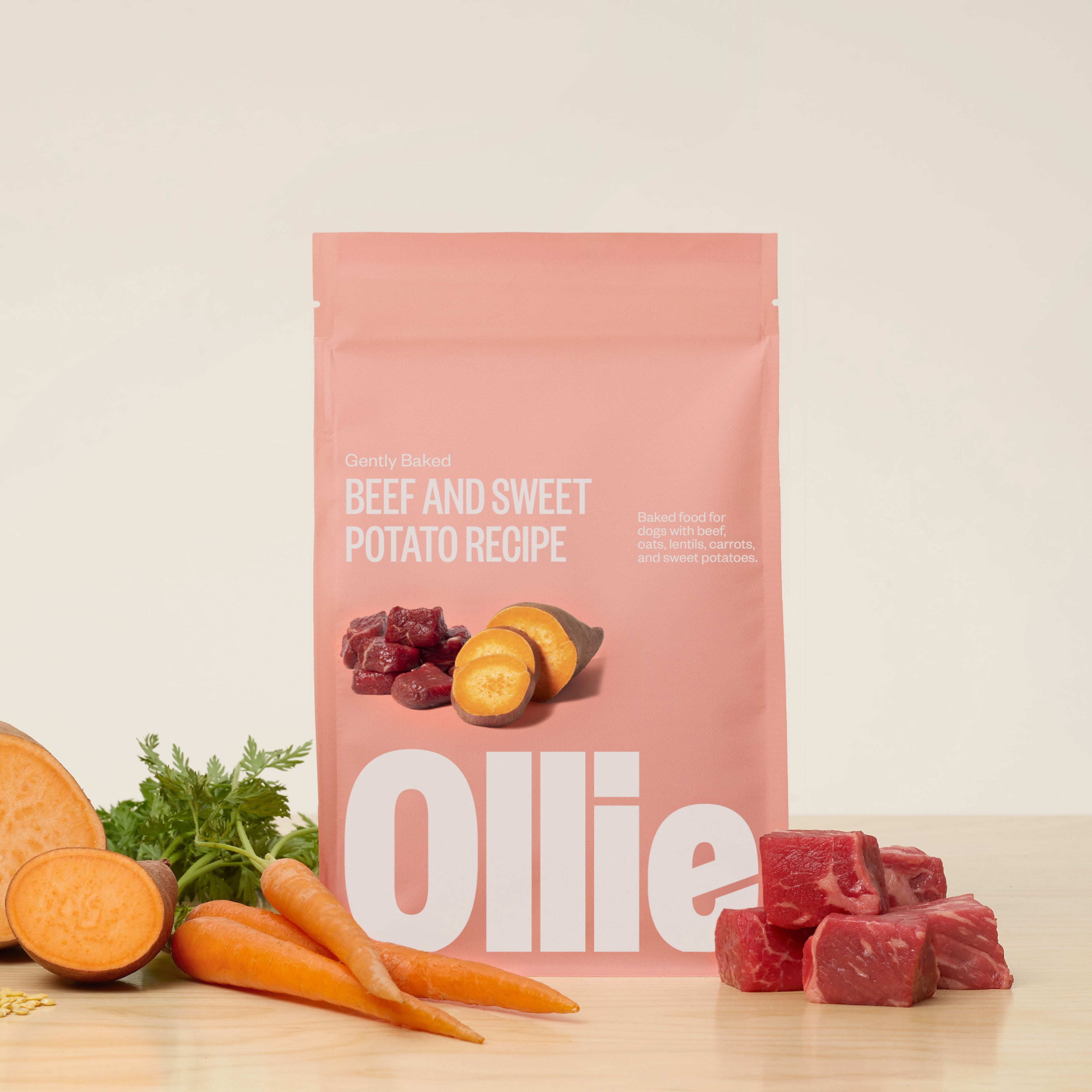 Baked Beef Food for Dogs with Limited Ingredients Ollie