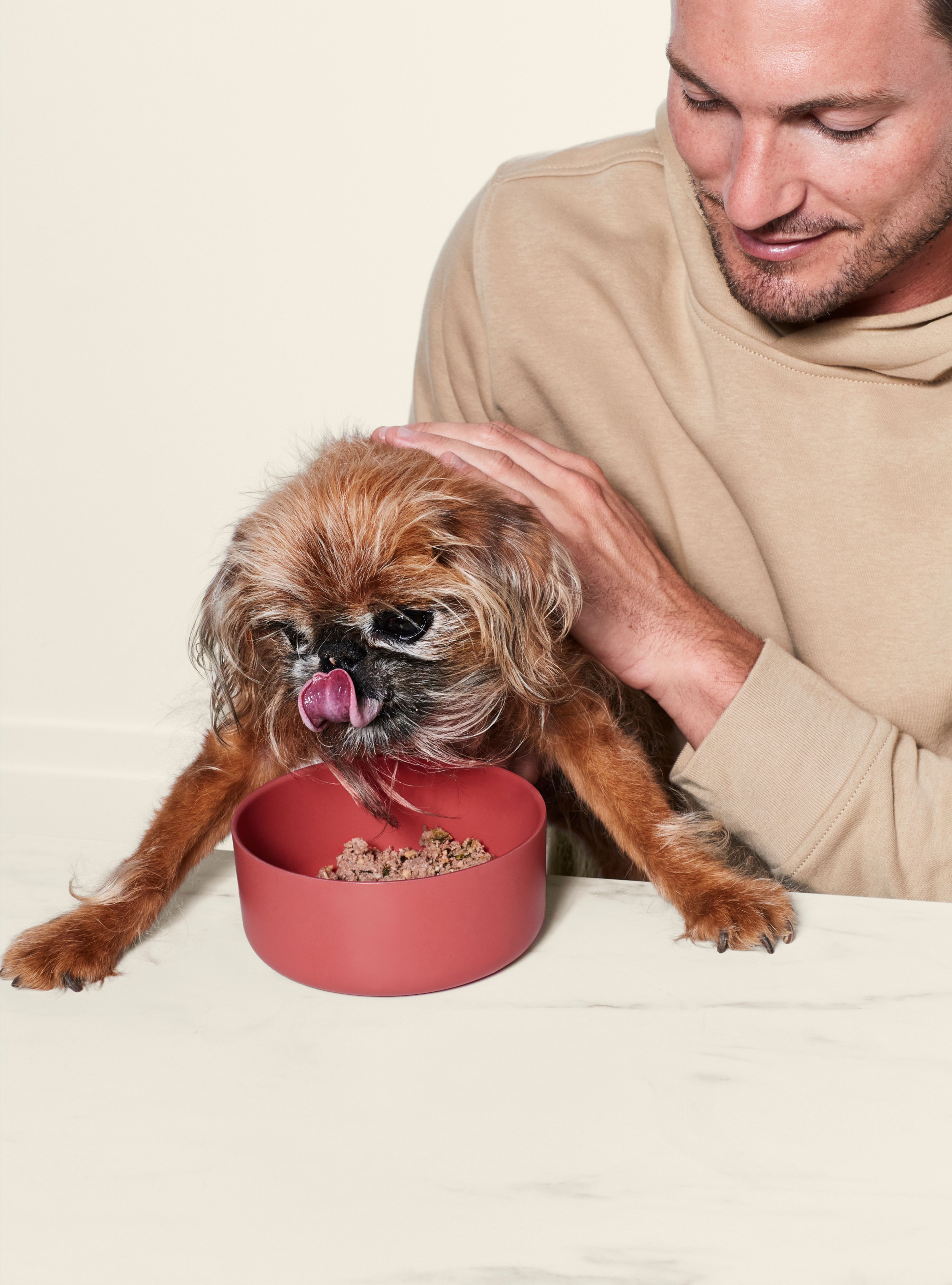 Dog with red bowl eating Ollie fresh lamb dog food