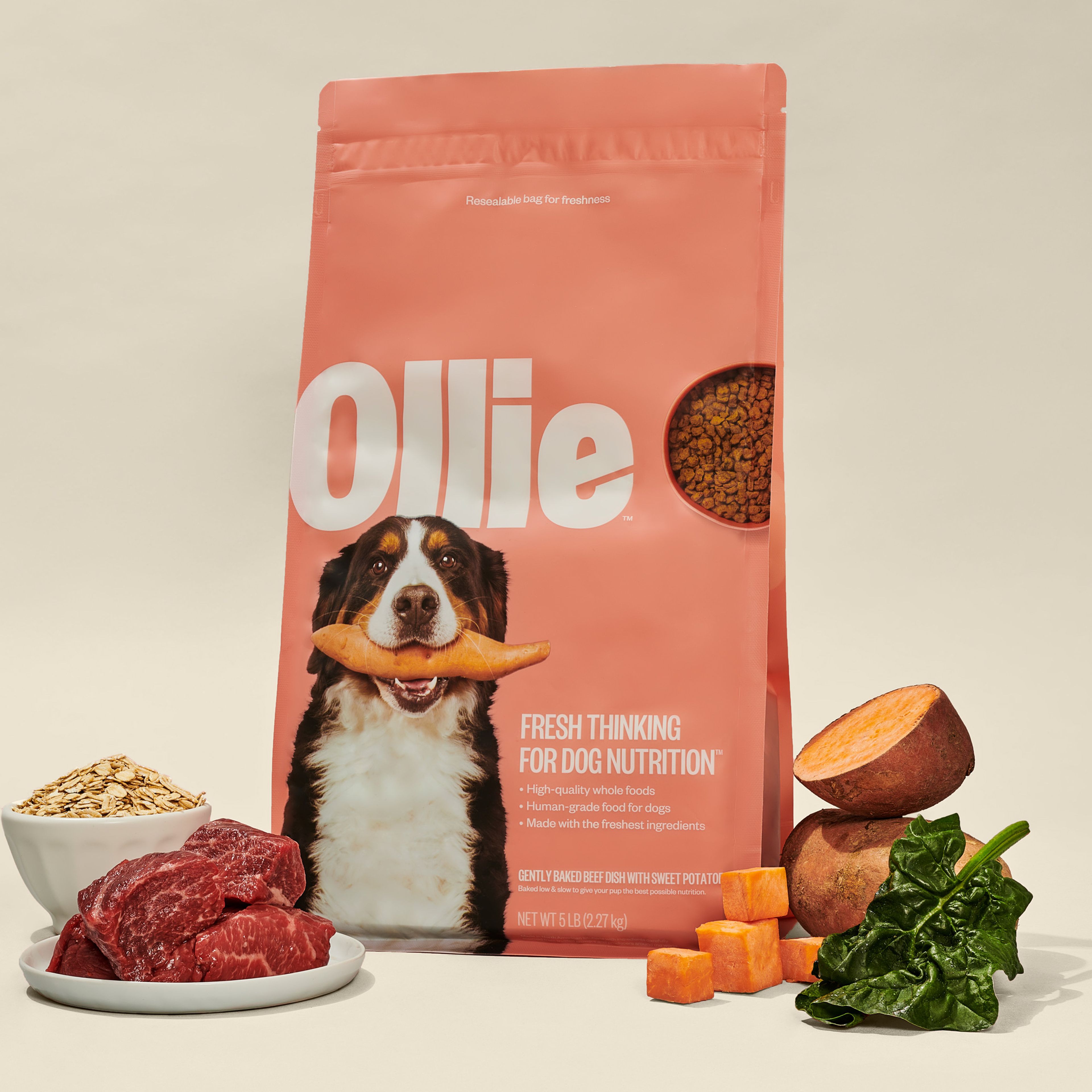 Ollie dog food reviews hotsell