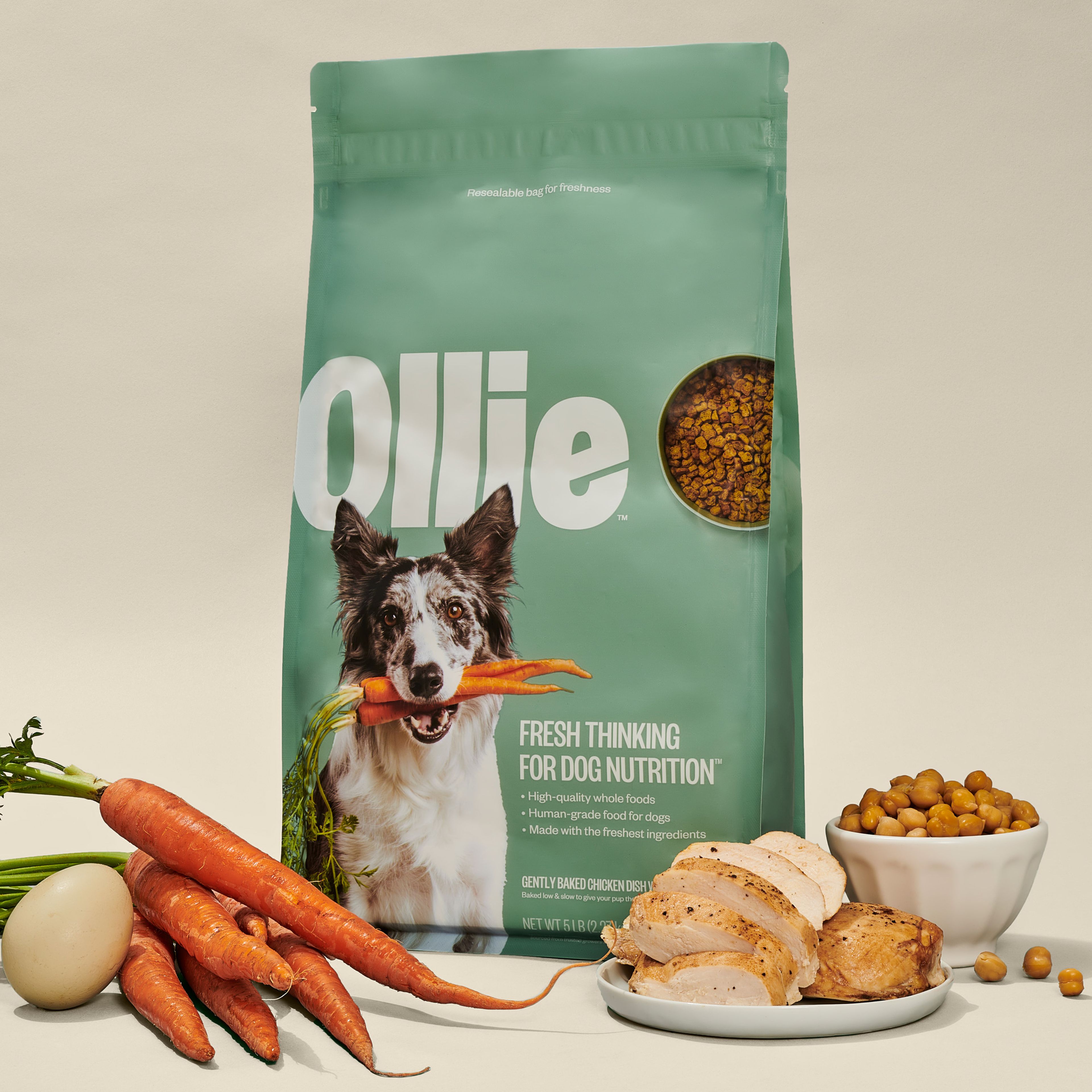 Baked Chicken Food for Dogs with Limited Ingredients Ollie