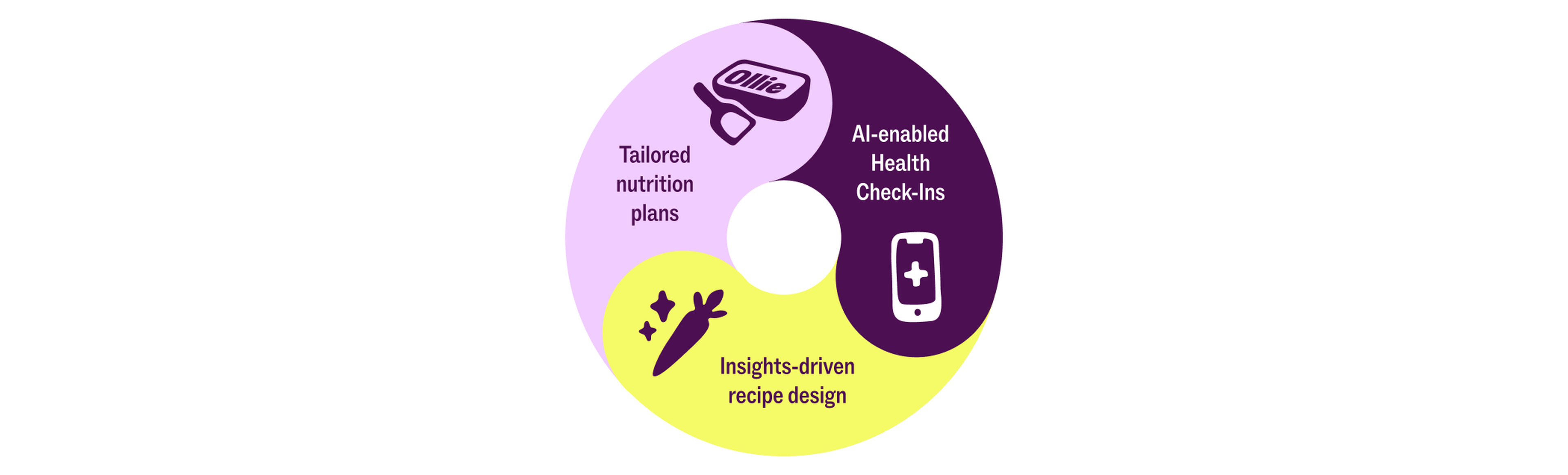 Diagram showing a circle divided into three segments: Tailored nutrition plans, AI-enabled health check-ins, and insights-driven recipe design.
