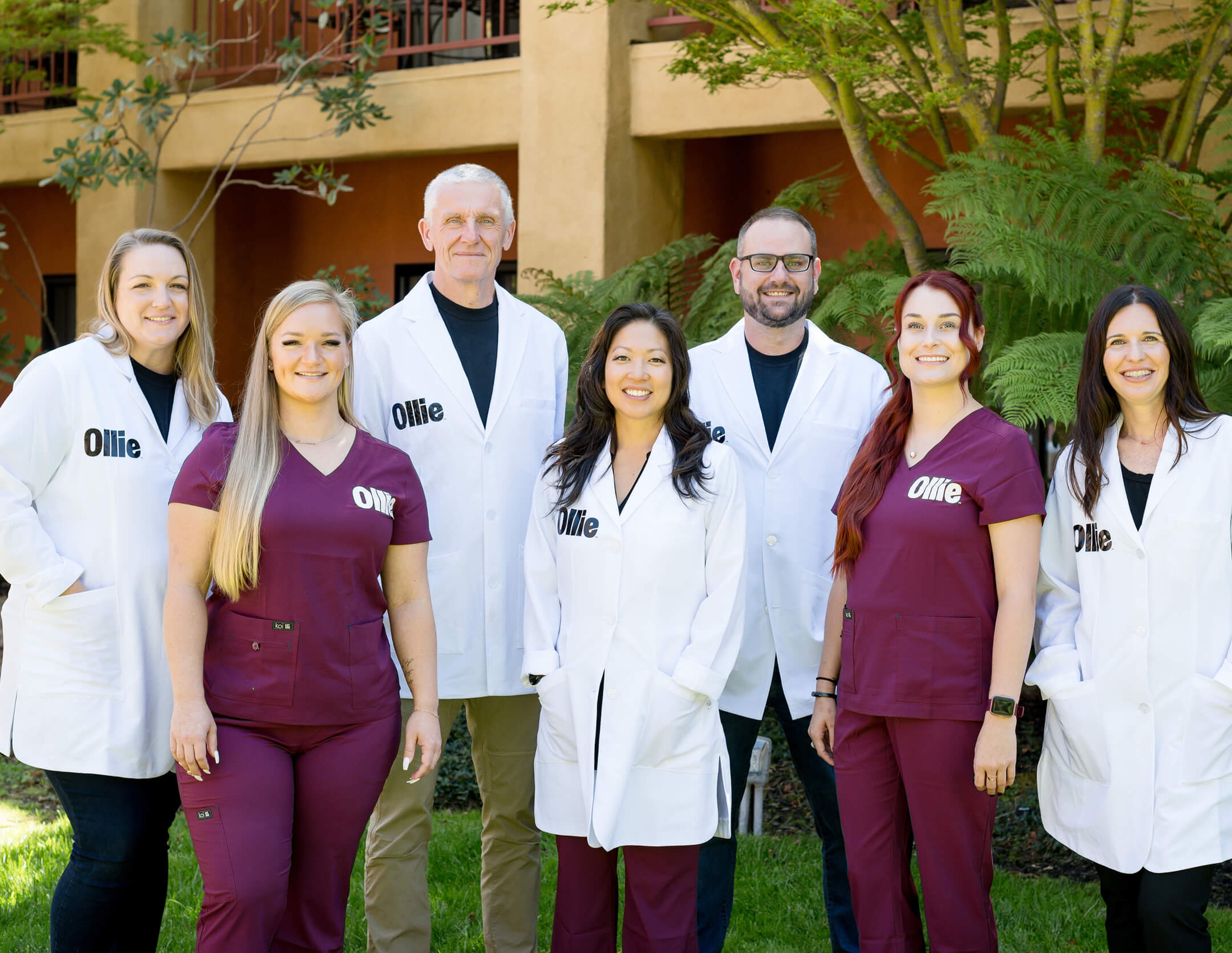 Image of the Ollie vet team consisting of 7 men and women