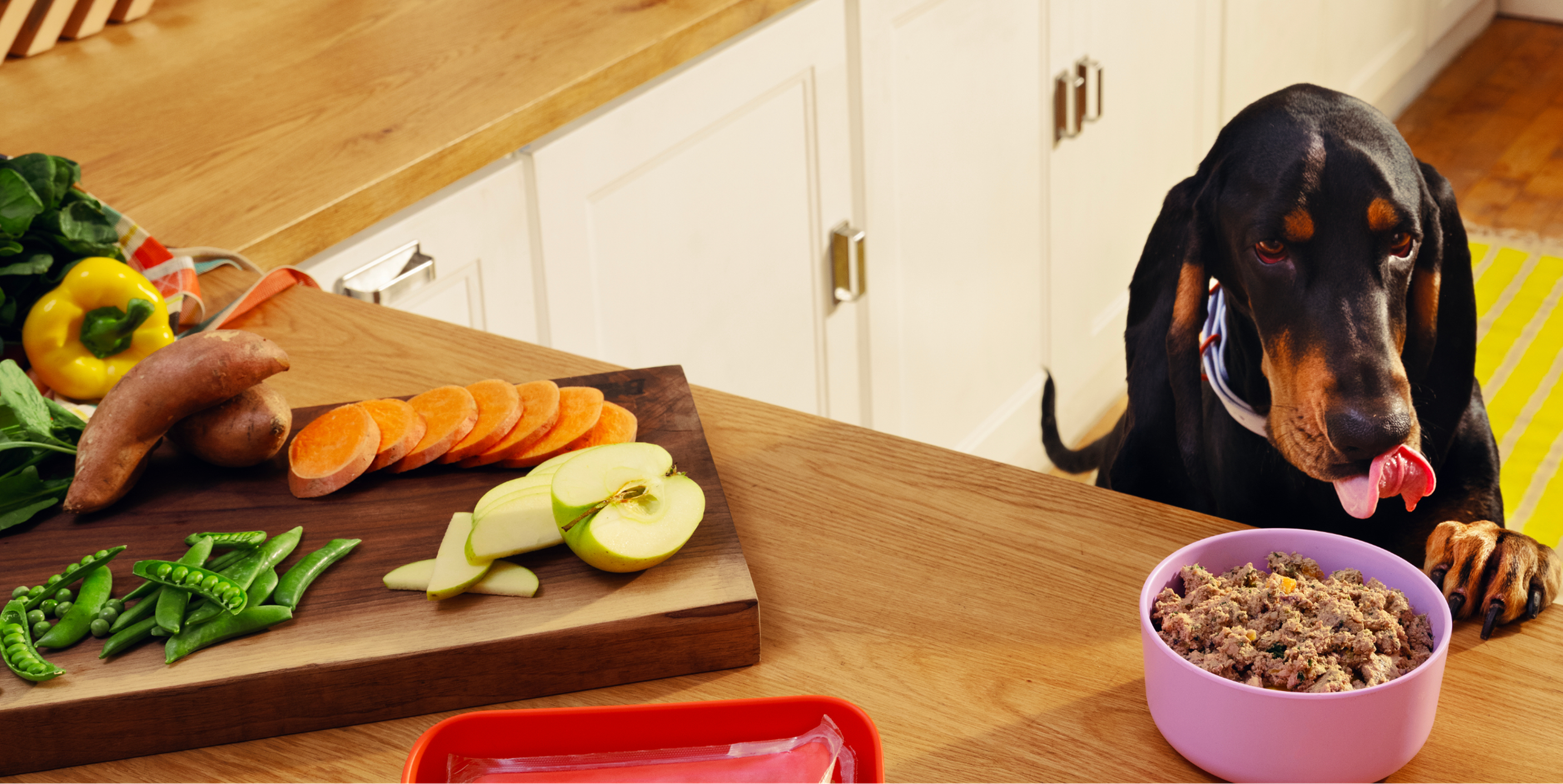 A dog licks its lips near a countertop with sliced vegetables and a bowl of fresh Ollie dog food, eagerly anticipating a meal.