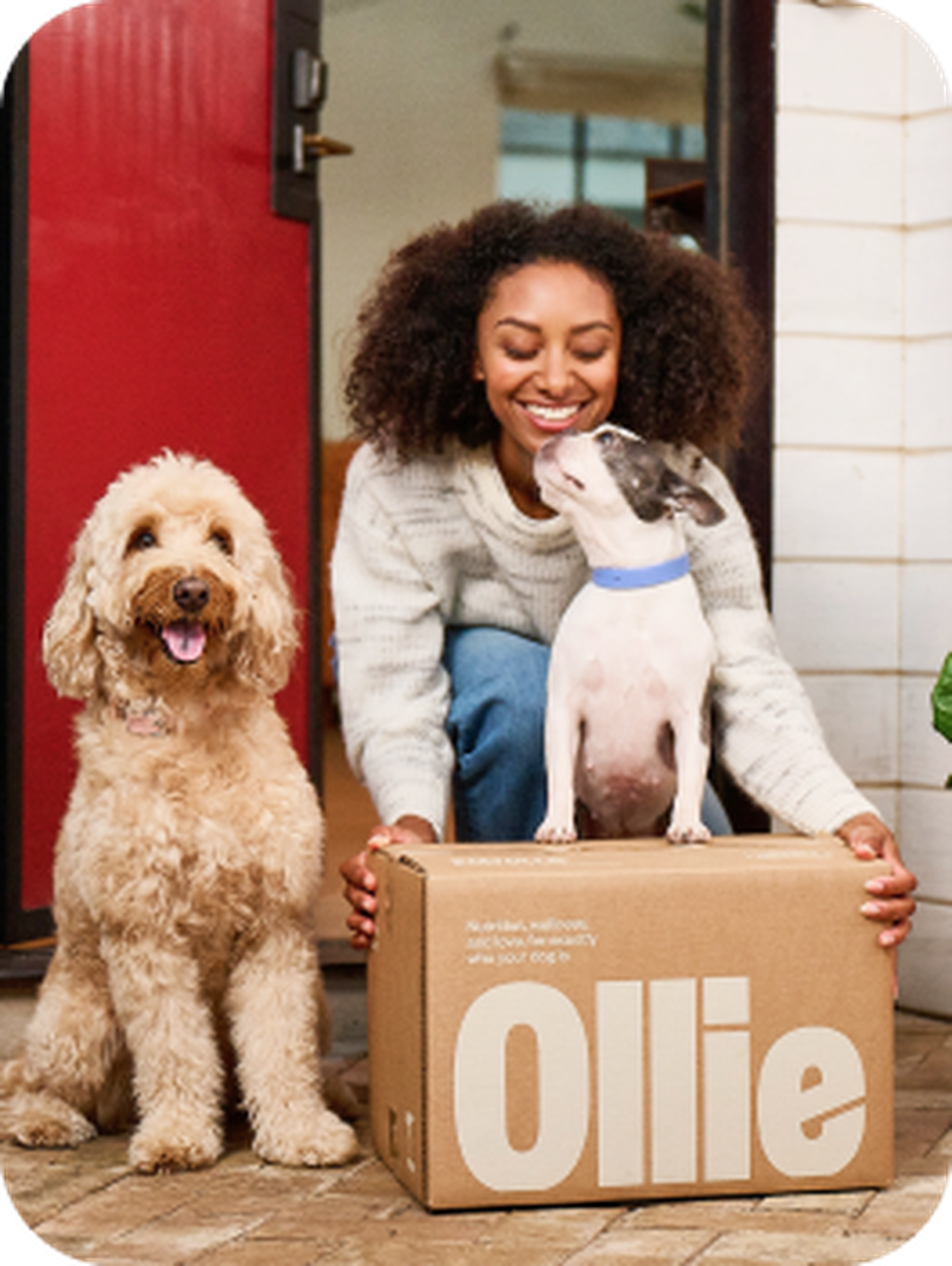 Ollie pet best sale