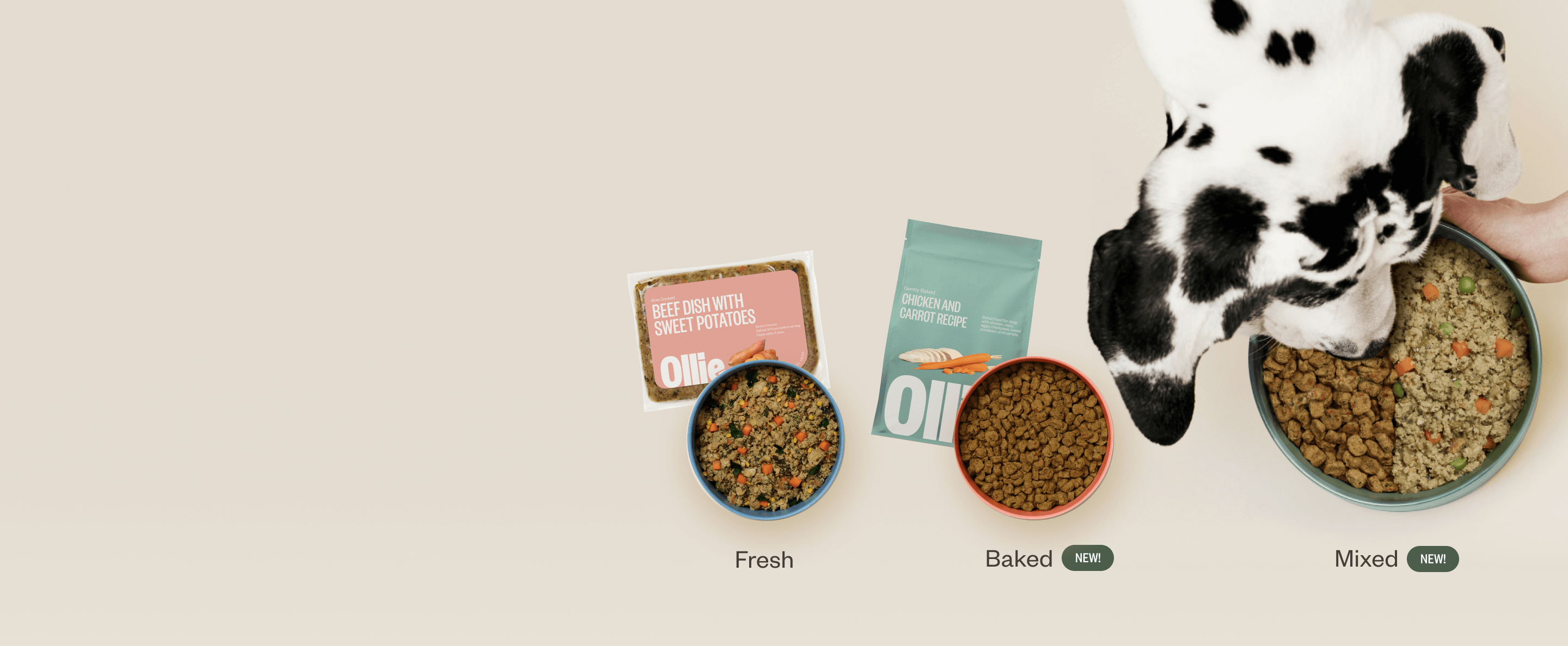 Ollie offers an All Fresh Food meal plan and now offers New All Baked and Mixed Bowl Meal Plans