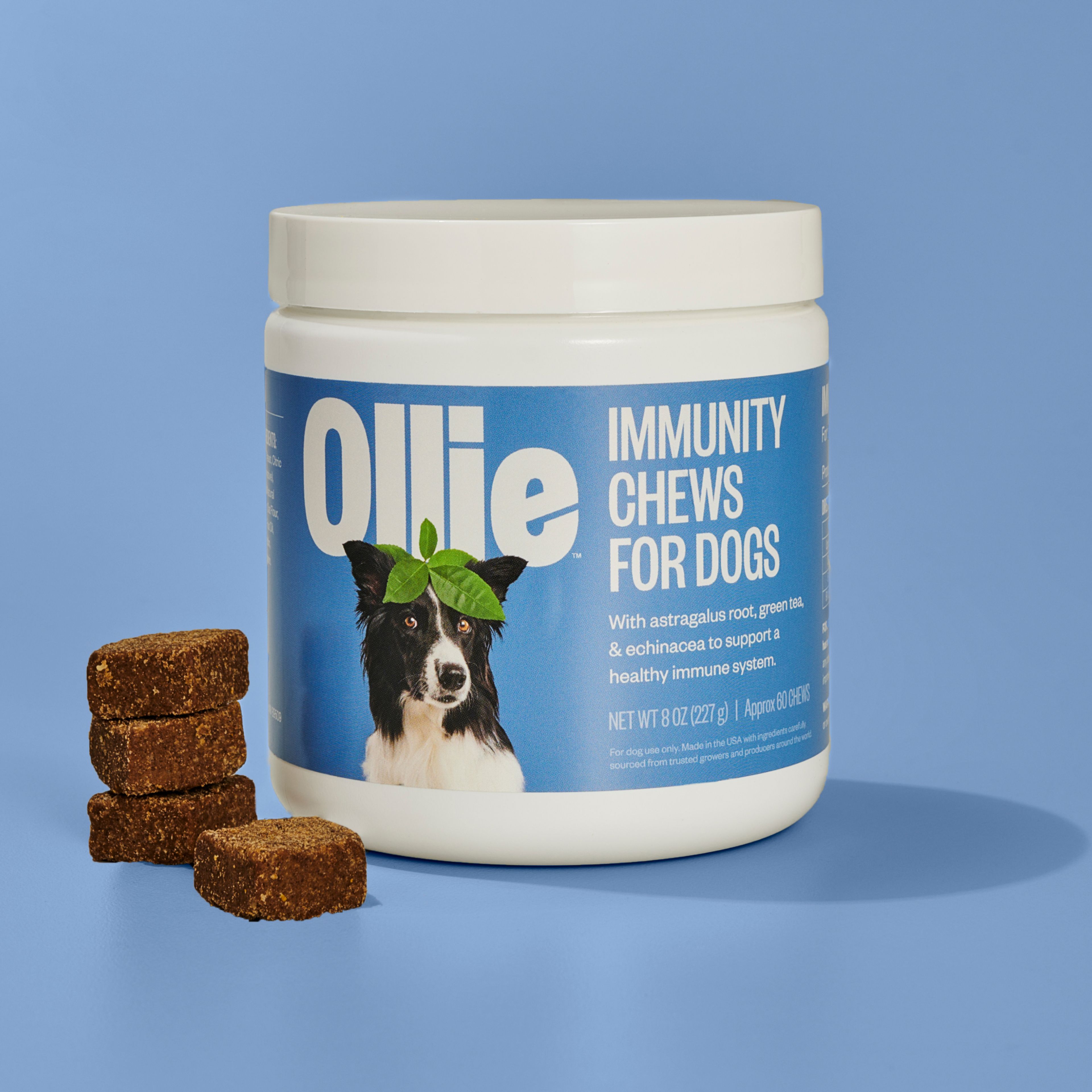 Dietary supplements for dogs best sale