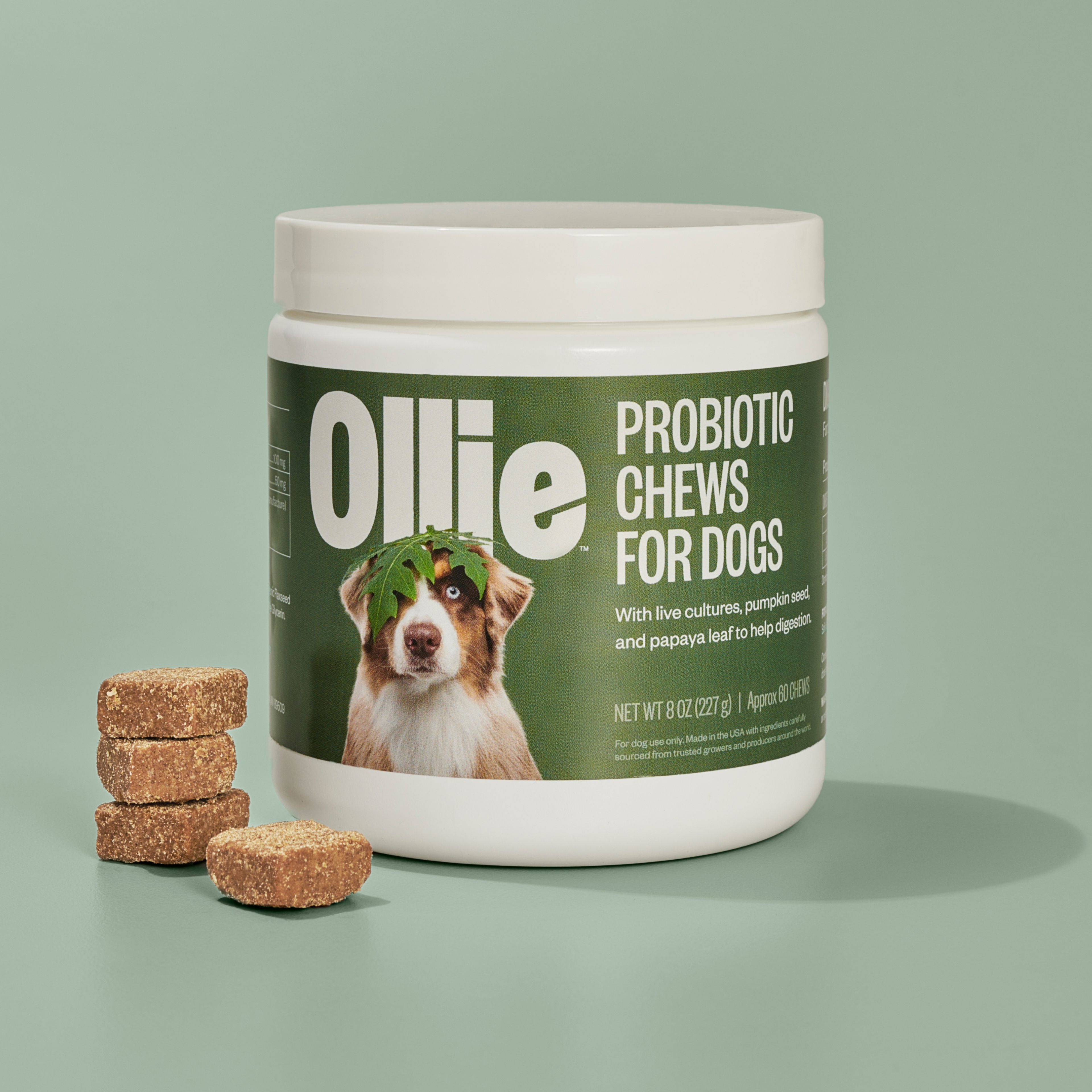 Dog Supplements Vitamins Premium Formulas Ollie