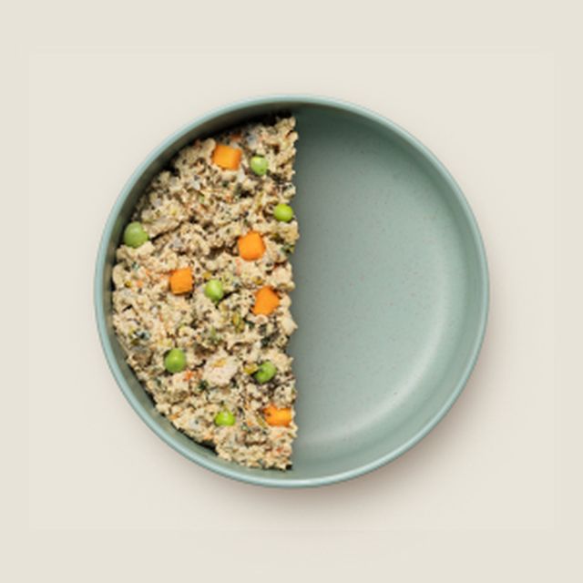 Ollie Half Fresh Meal Plan