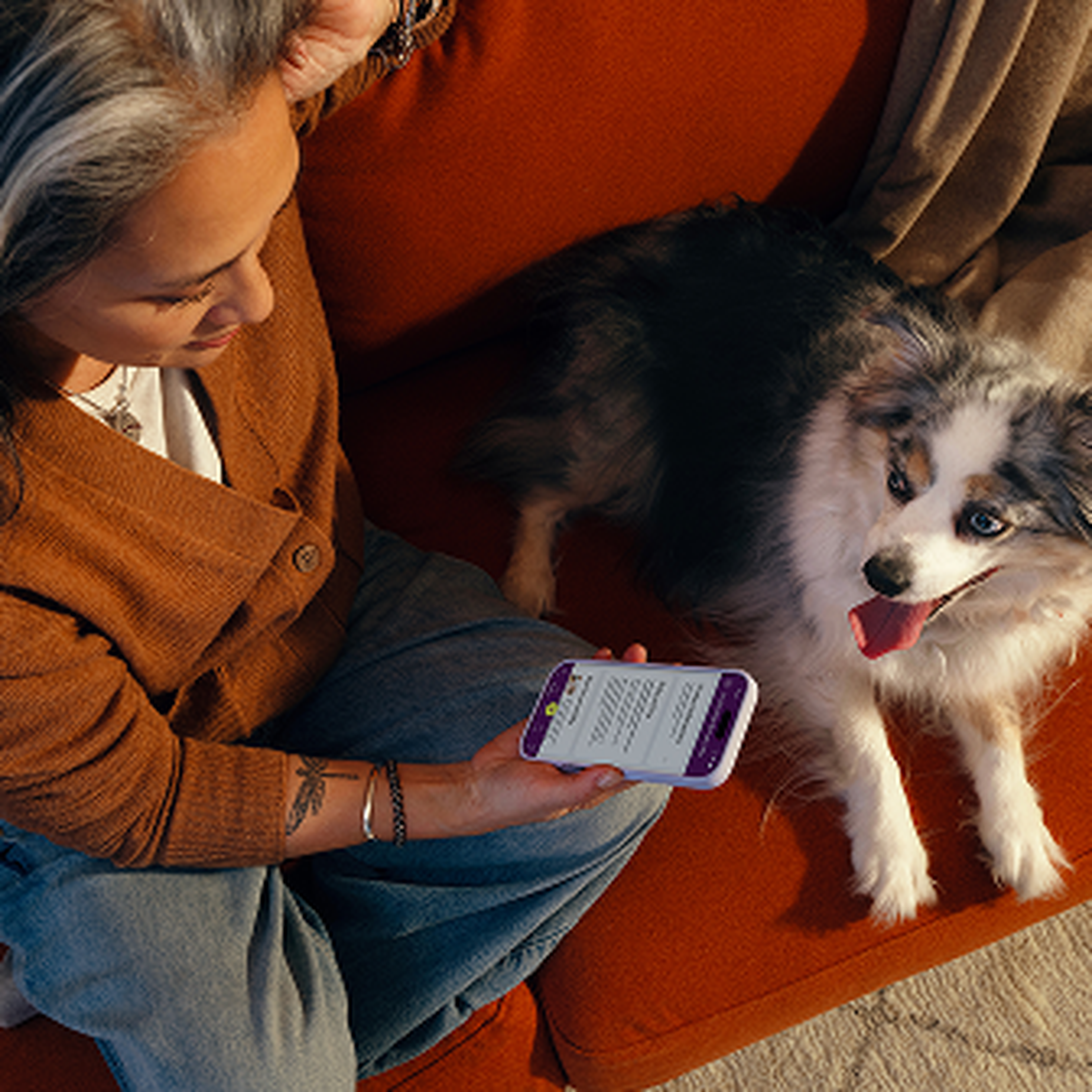 A woman wearing a brown sweater, sits on a sofa looking at the Ollie app on her phone, next to a happy dog with blue eyes on a red cushion.