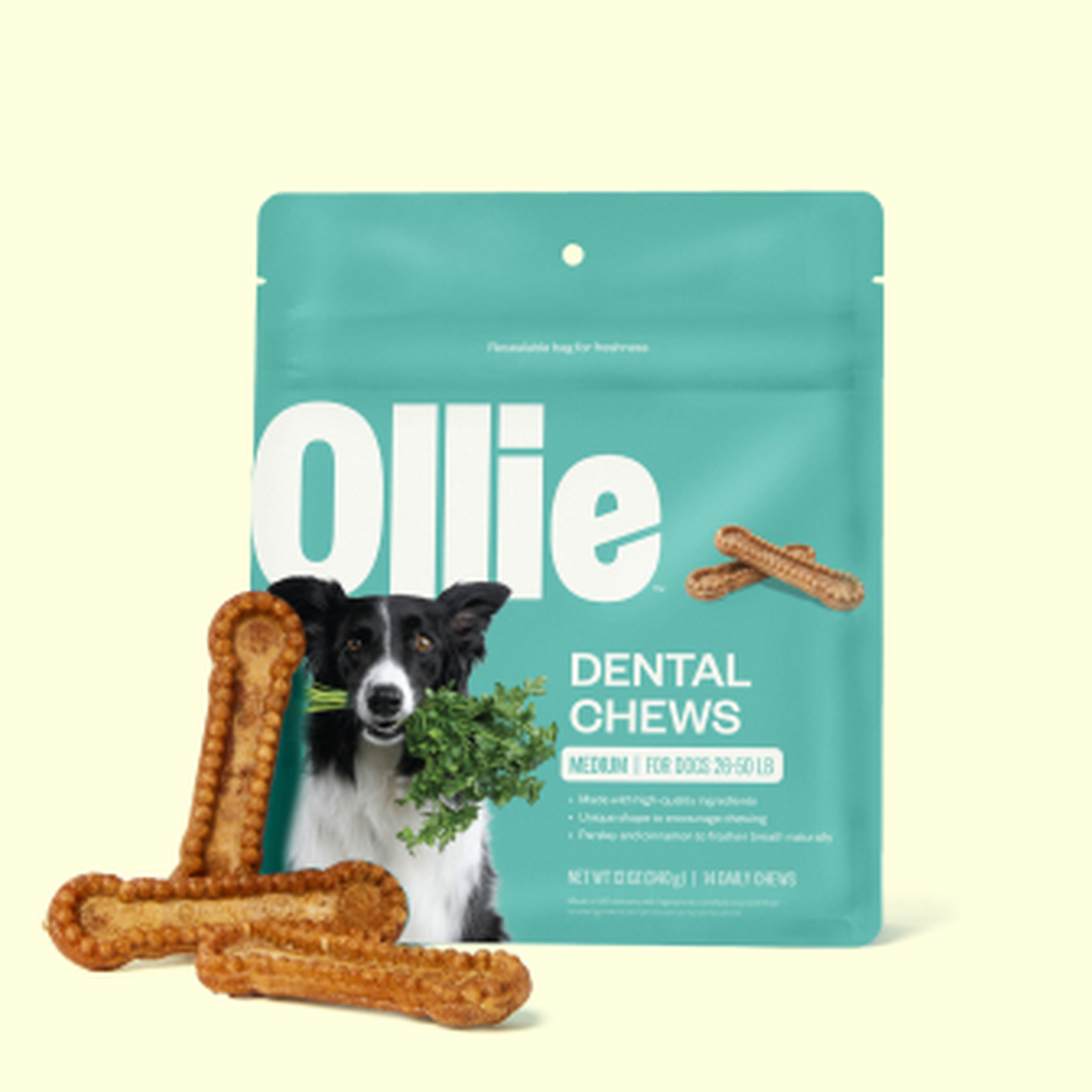 A package of Ollie dental chews for medium dogs with a dog and parsley image, next to several chews on a light background.