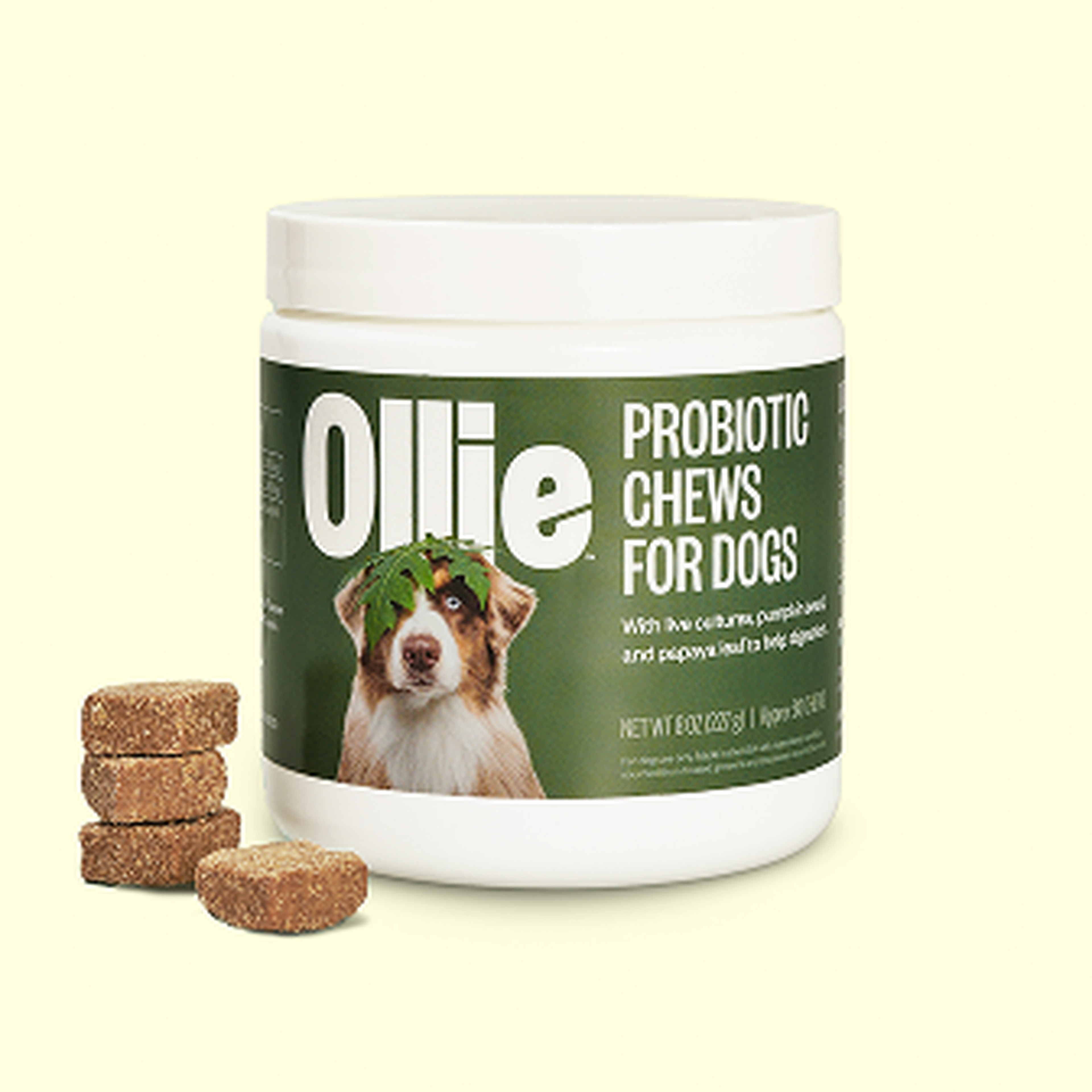 Ollie Supplements, Probiotic Chews