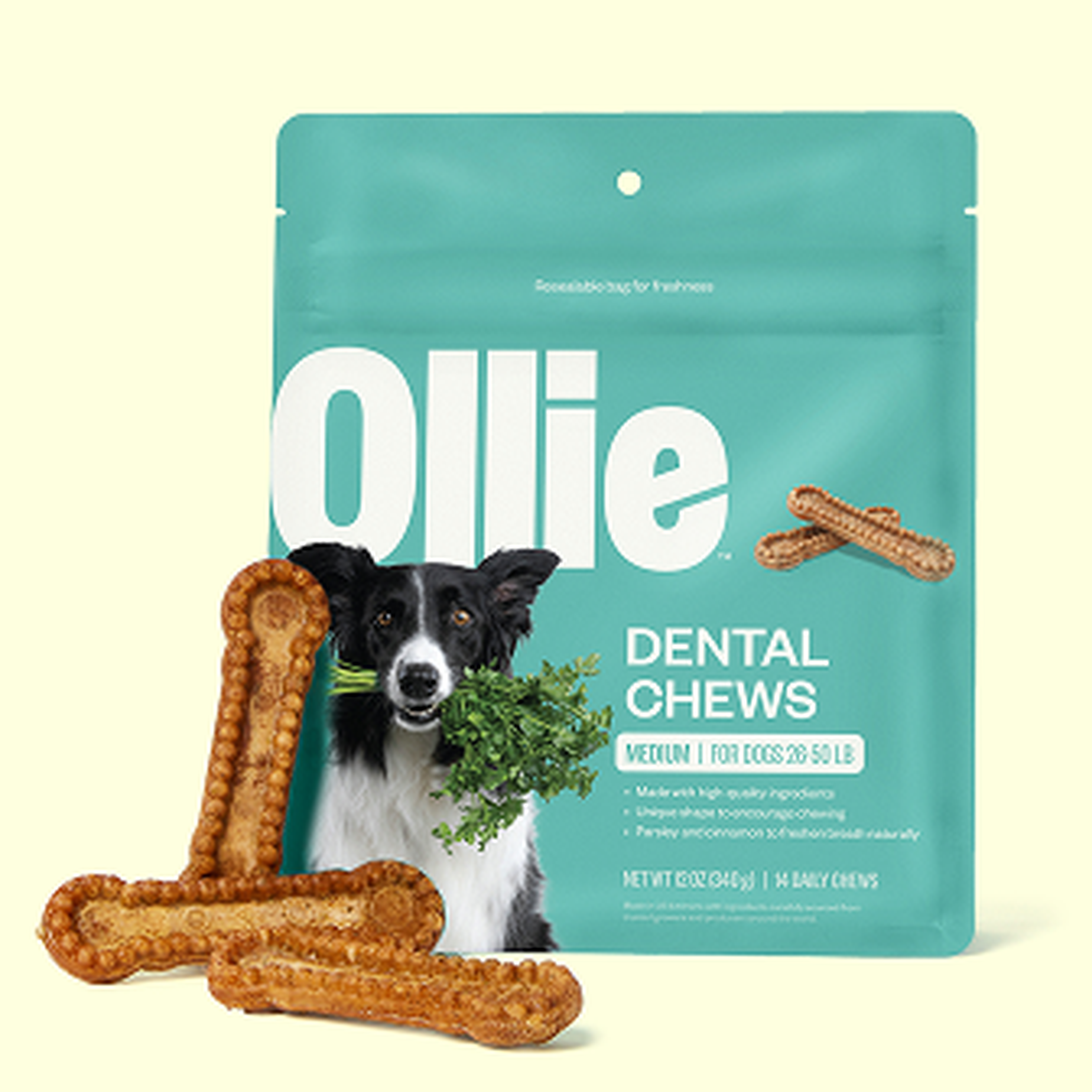 Ollie Dental Chews