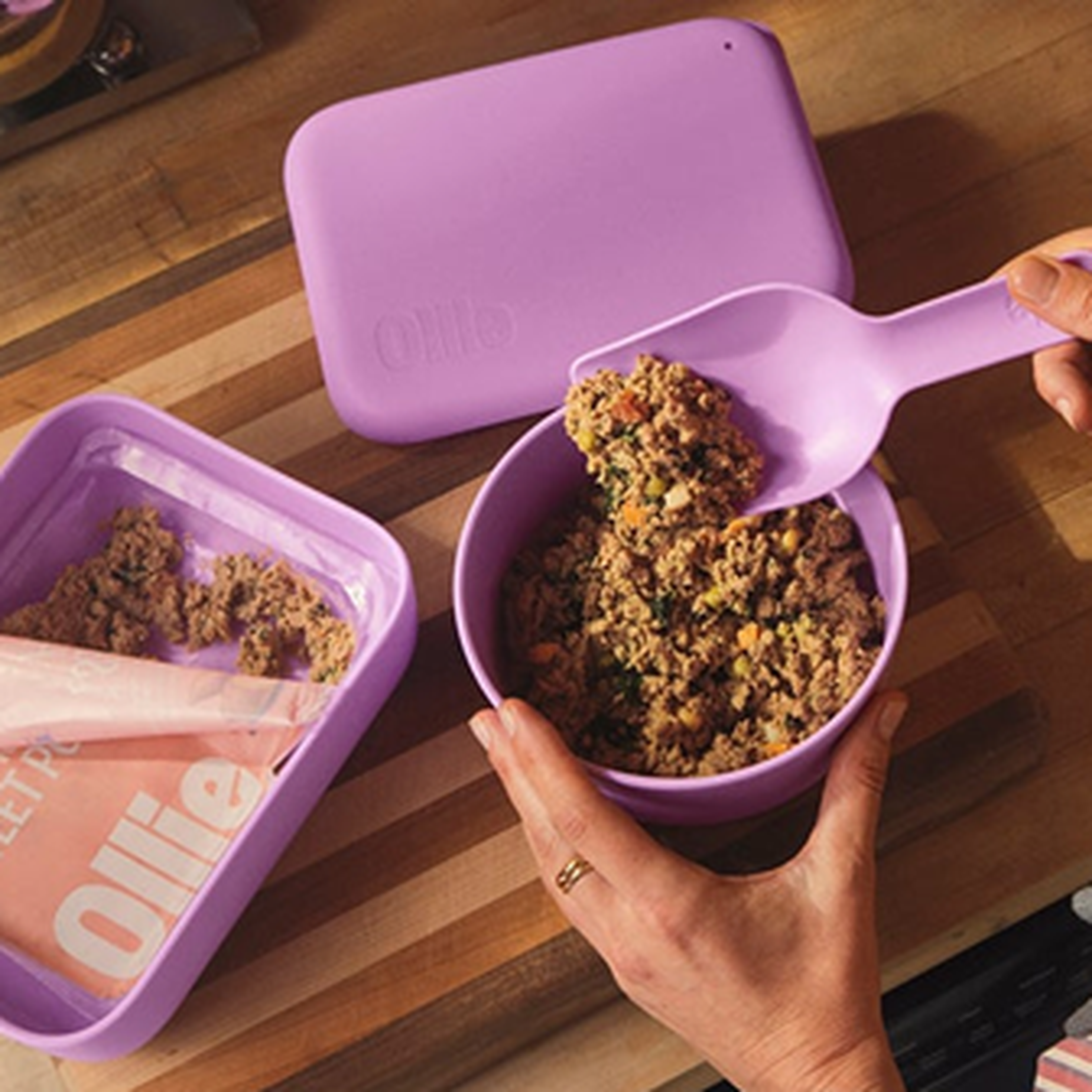 Person scooping Ollie fresh dog food from a purple puptainer with a matching scoop; Ollie brand packaging visible nearby.