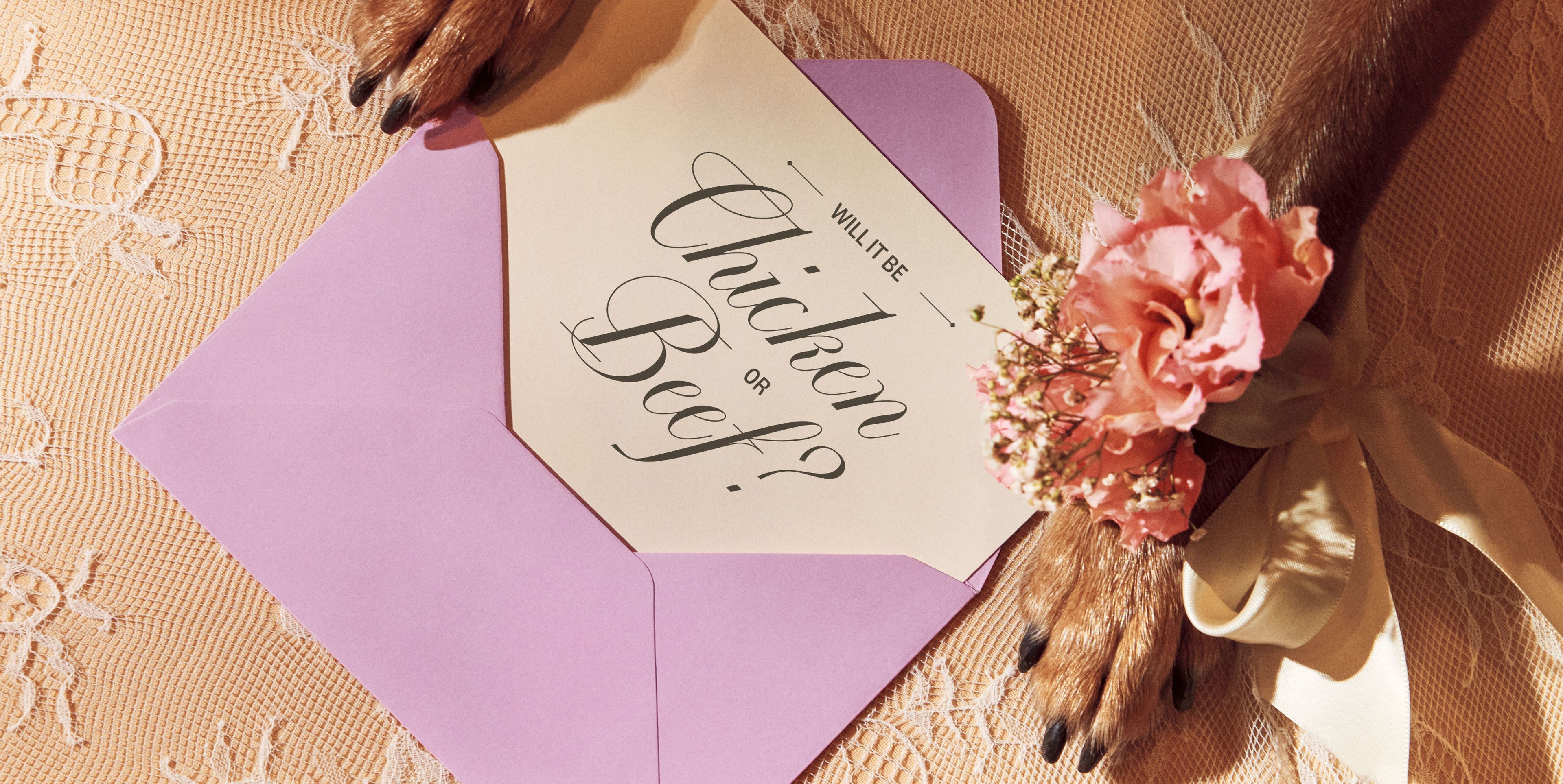Dog paws with flowers rest on a lace tablecloth next to a purple envelope with a card asking, "Will it be Chicken or Beef?"