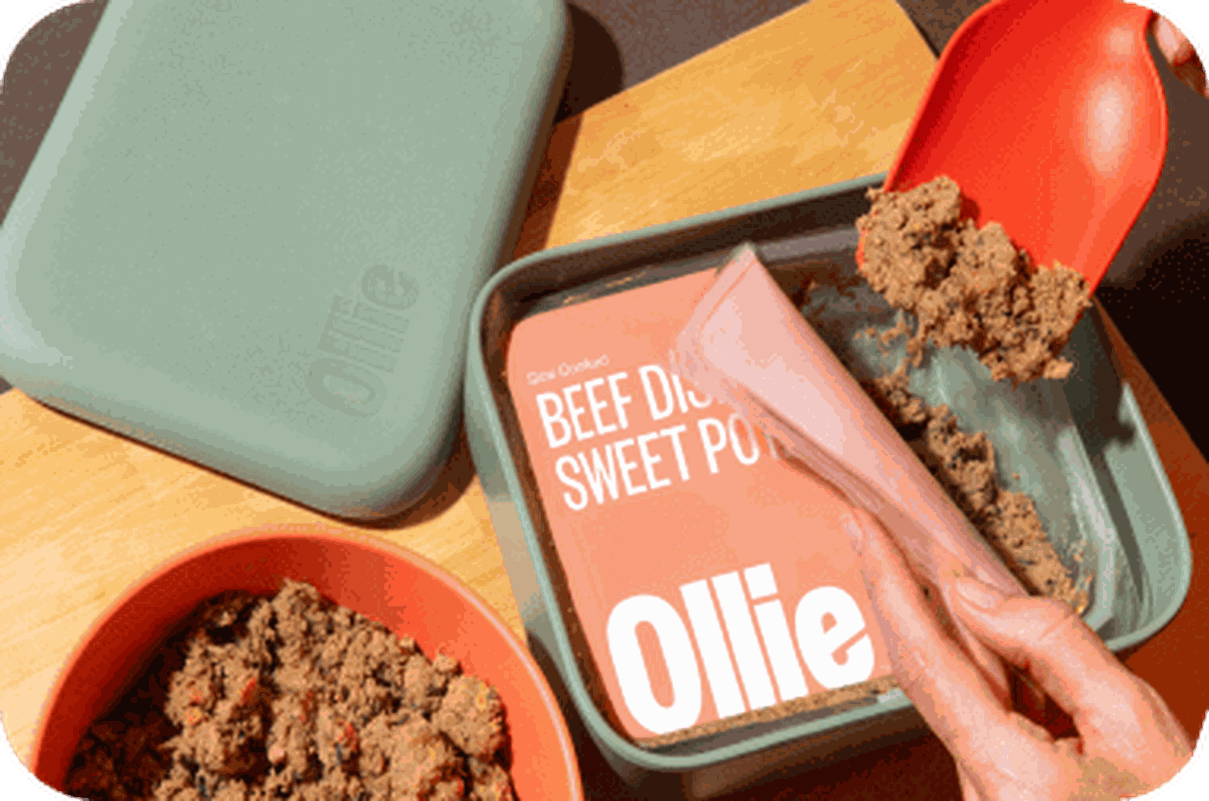 Start feeding Ollie Fresh food to give your pup the nutrition they need