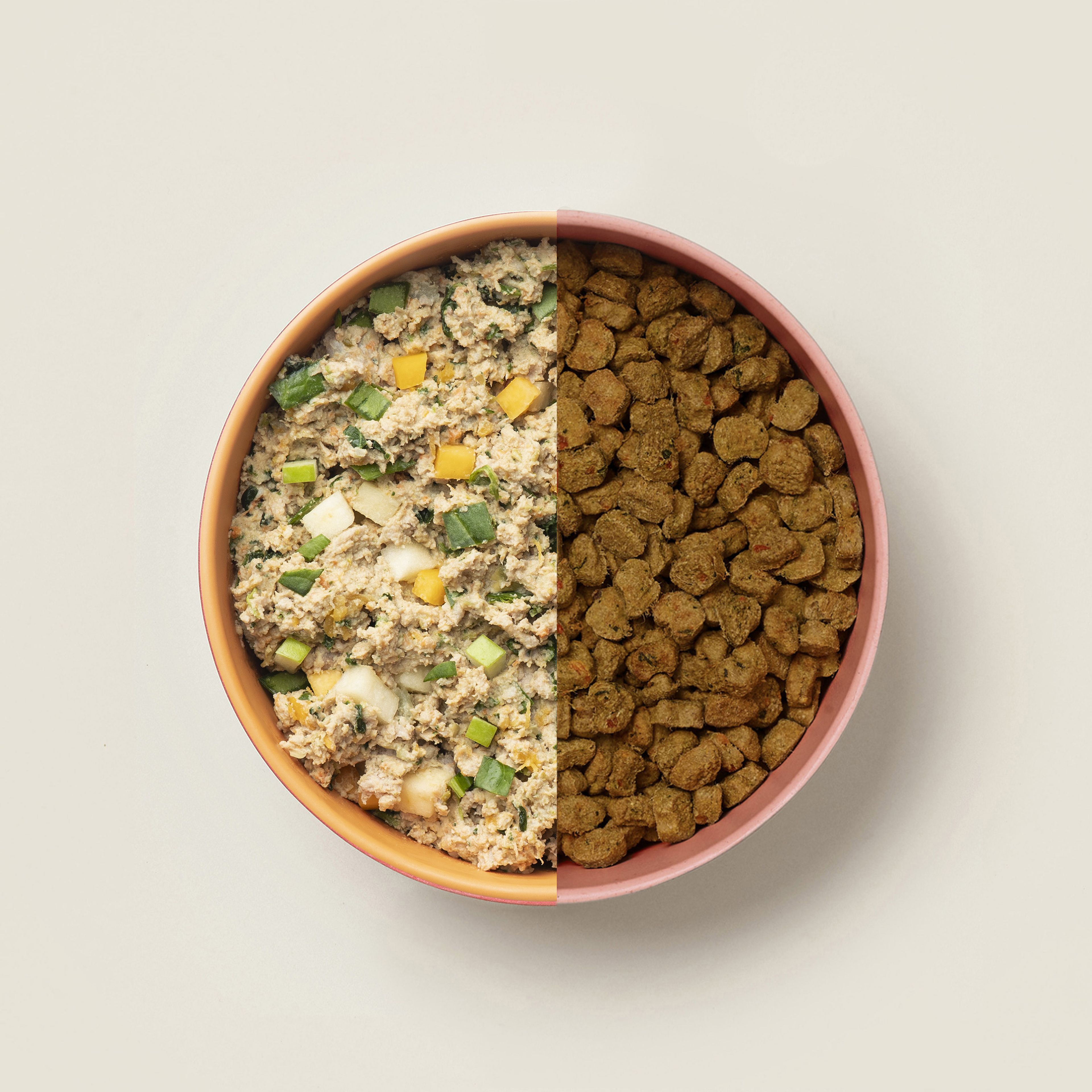 Meal Plan Options for Your Dog s Food