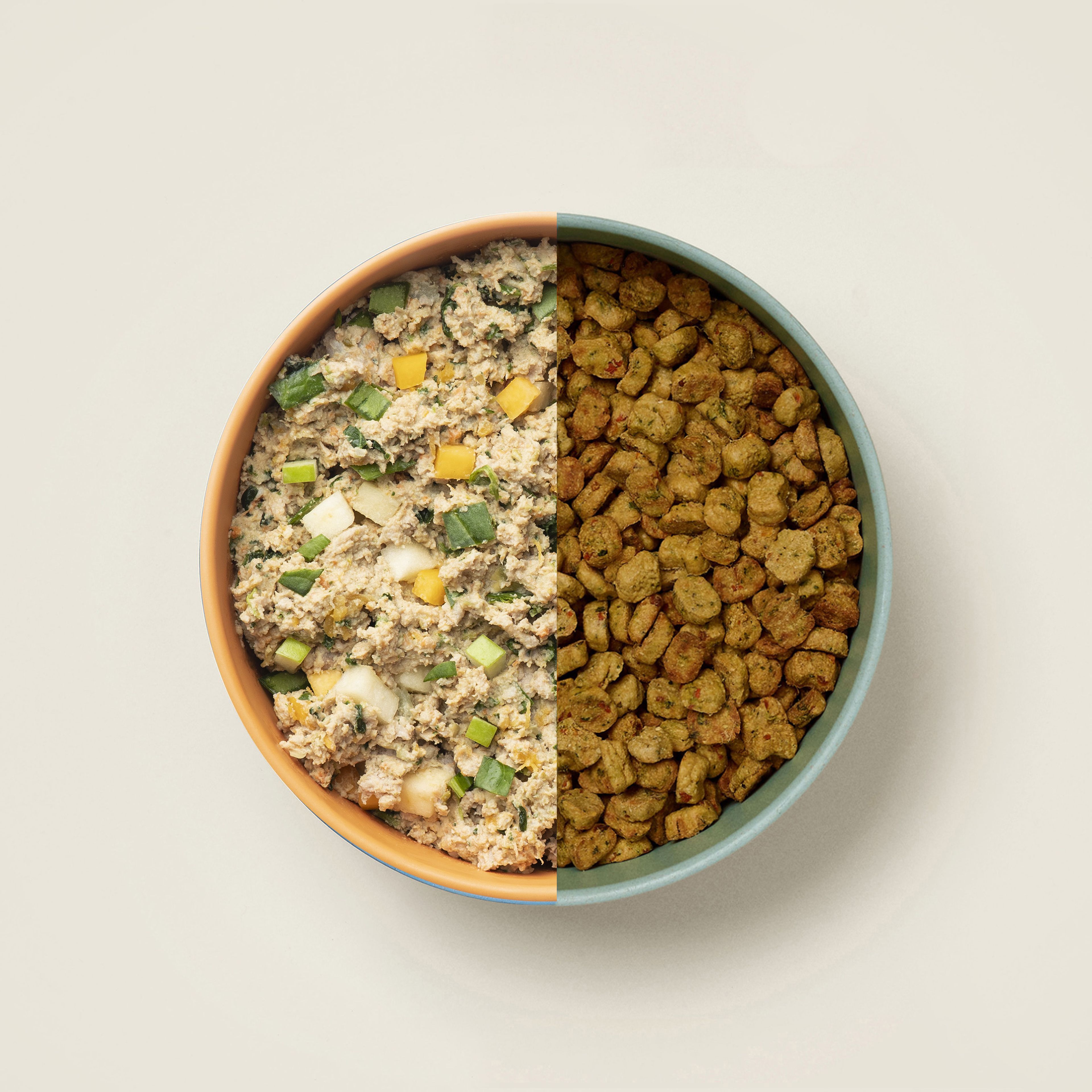 Meal Plan Options for Your Dog's Food