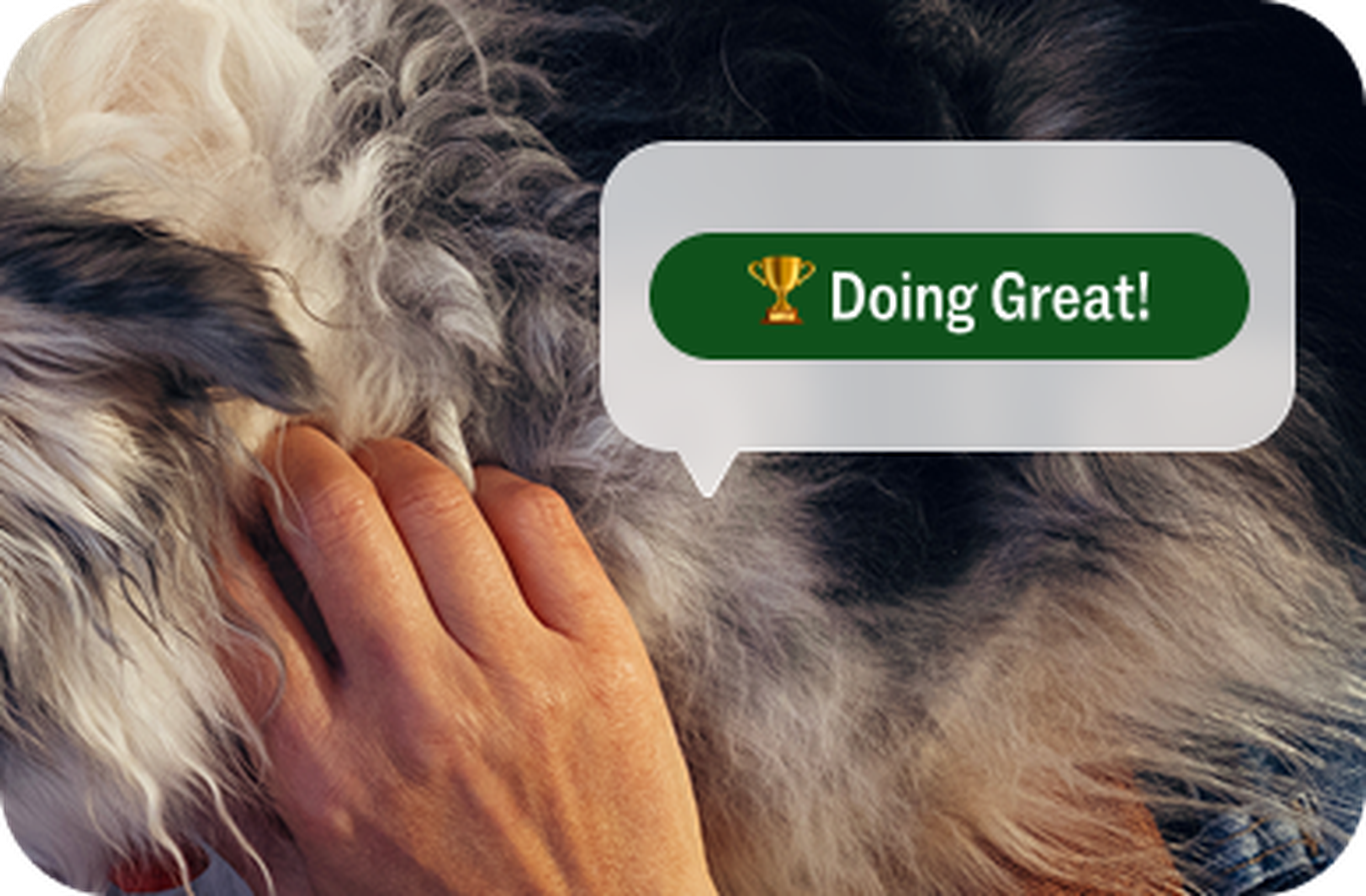 Hand petting a fluffy black and white dog with a speech bubble saying "Doing Great!" and a trophy icon.