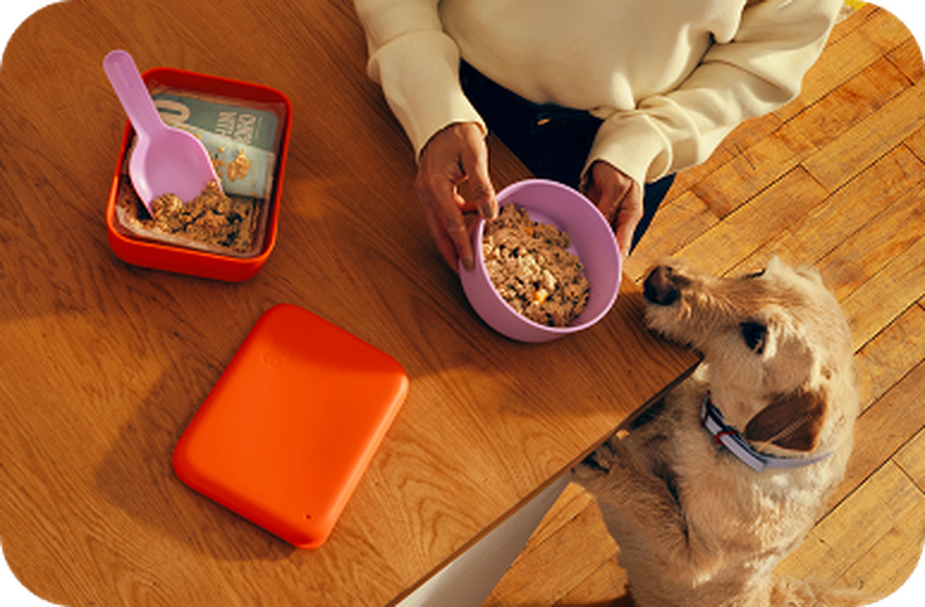 A person holding a bowl of food, with a curious dog looking up, standing beside a table with another container of food and a spoon.